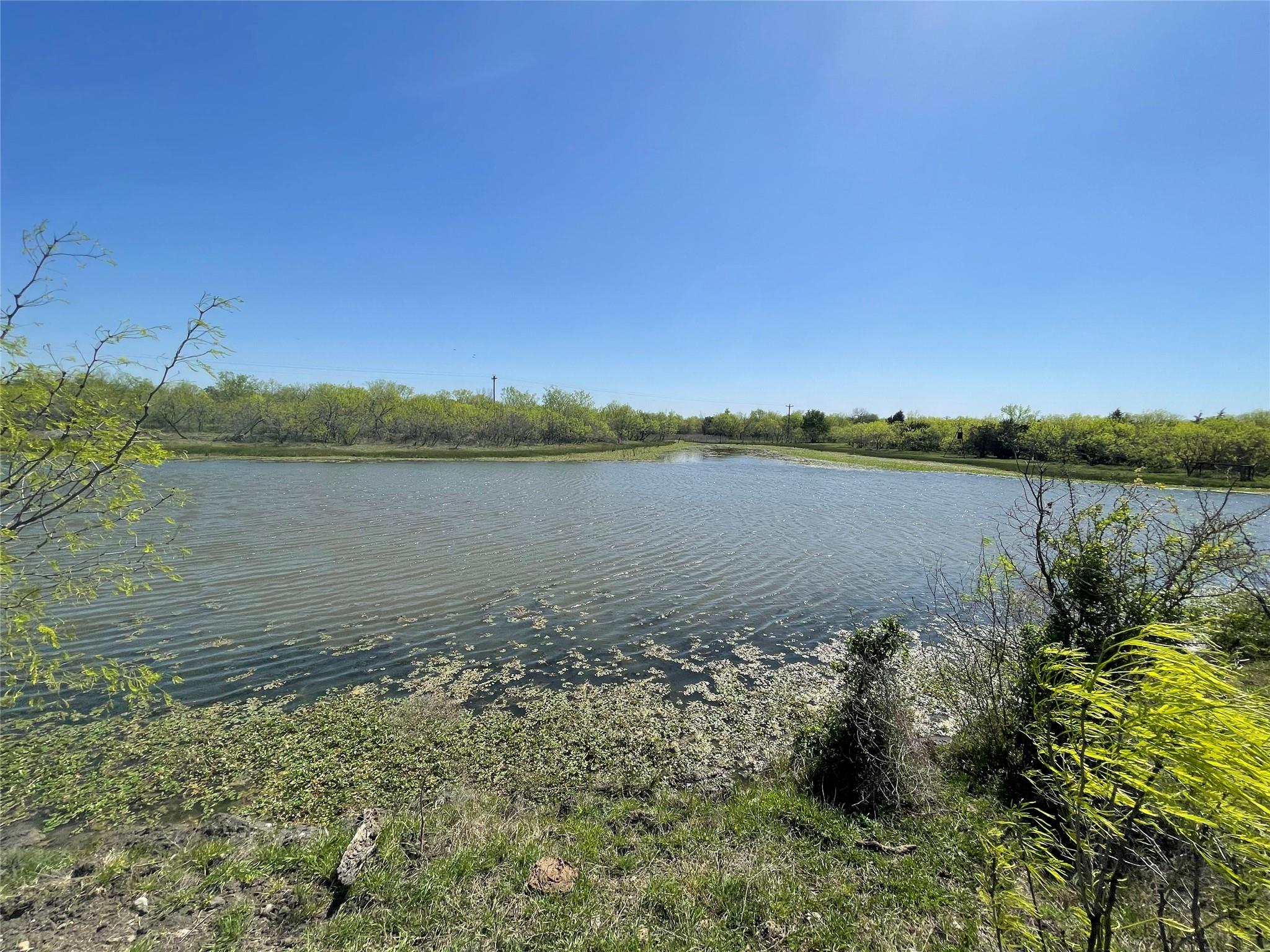 11319 Doyle Overton Rd, Del Valle, TX 78617