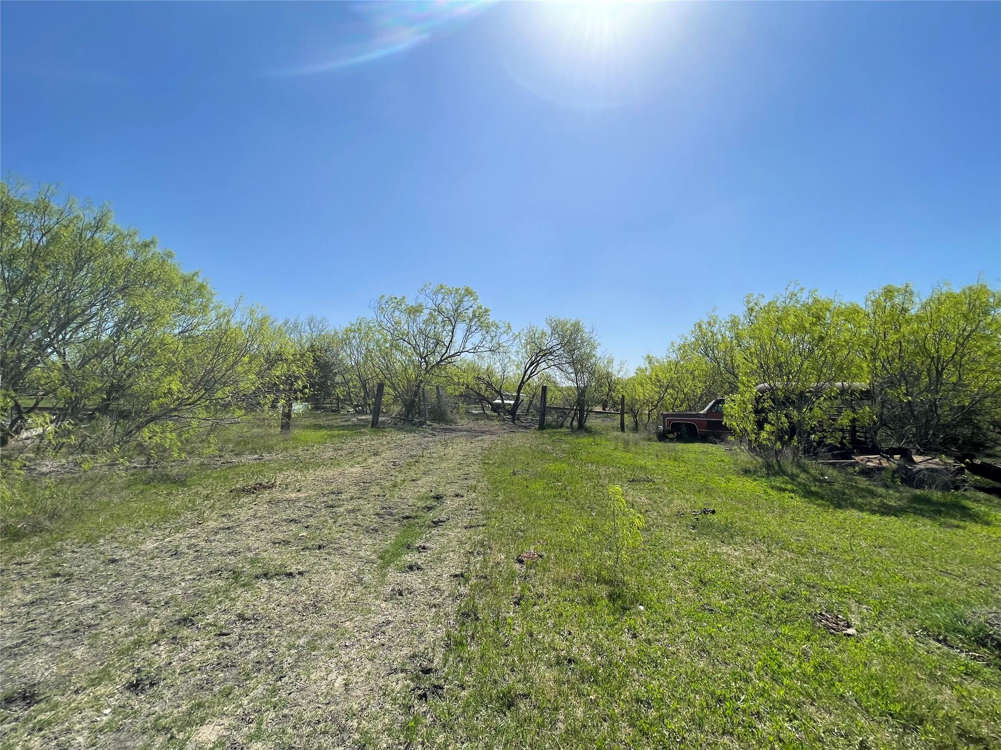 11319 Doyle Overton Rd, Del Valle, TX 78617