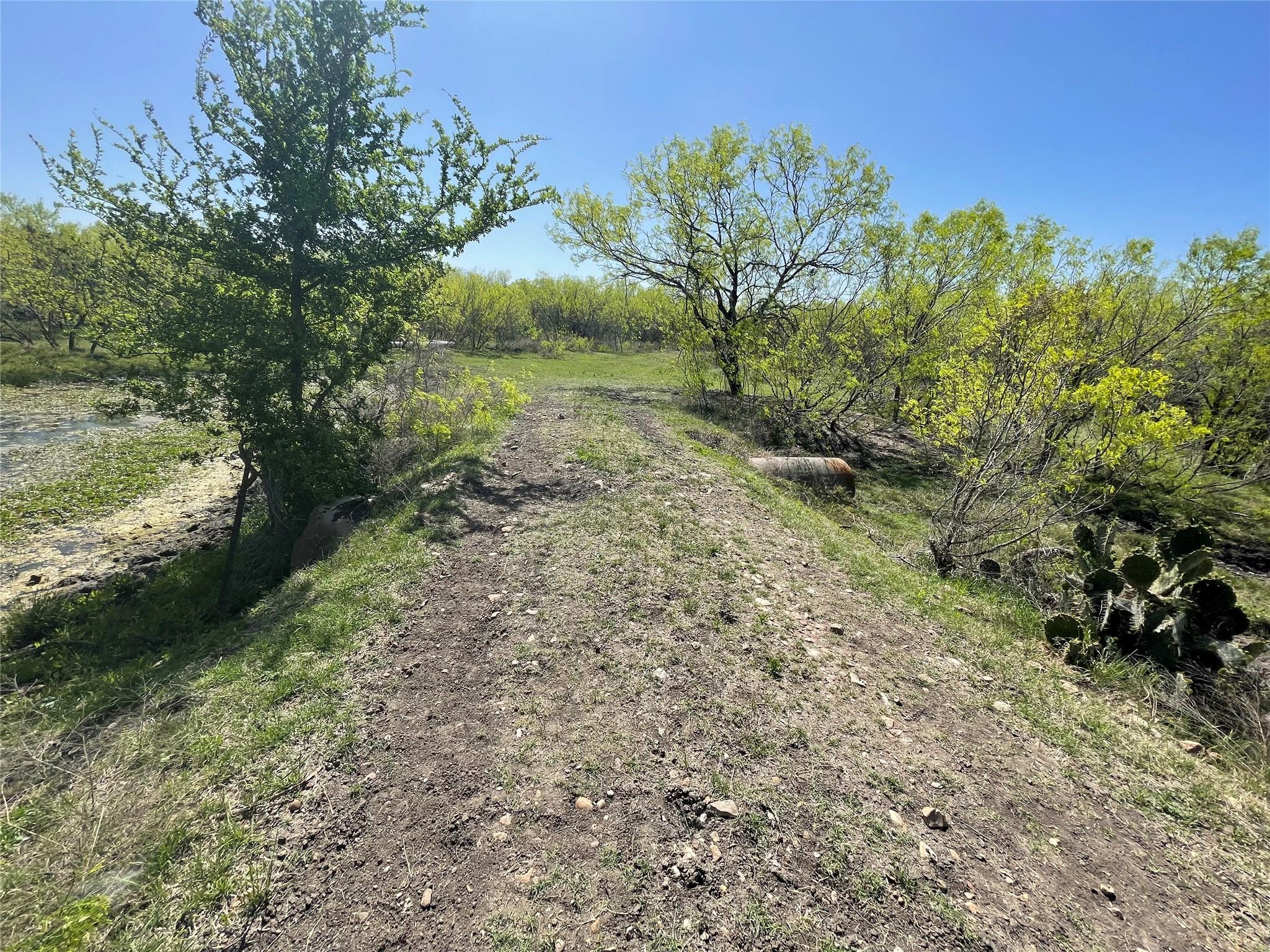 11319 Doyle Overton Rd, Del Valle, TX 78617