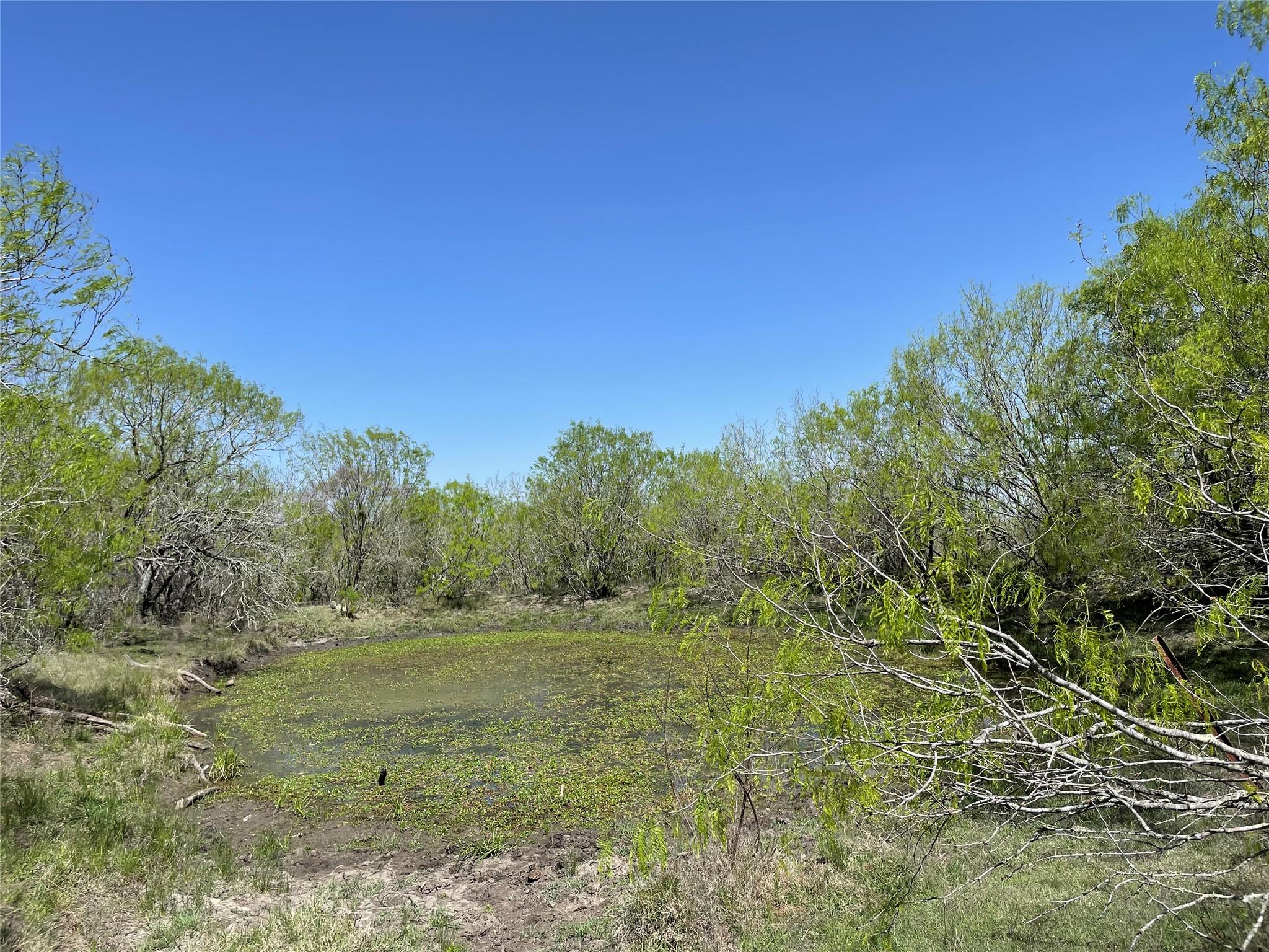 11319 Doyle Overton Rd, Del Valle, TX 78617