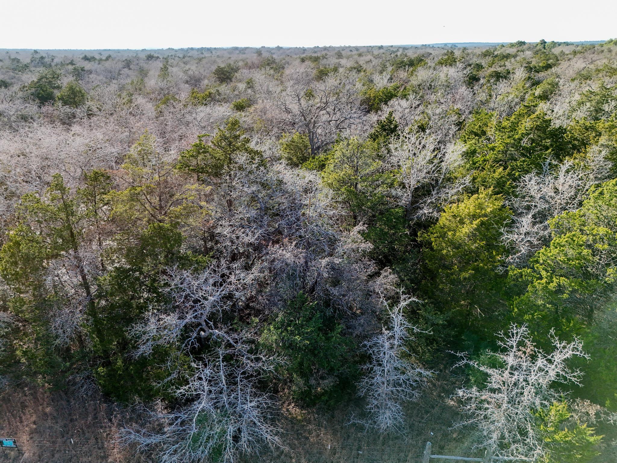 Lot 4 South Old Potato Rd, Paige, TX 78659