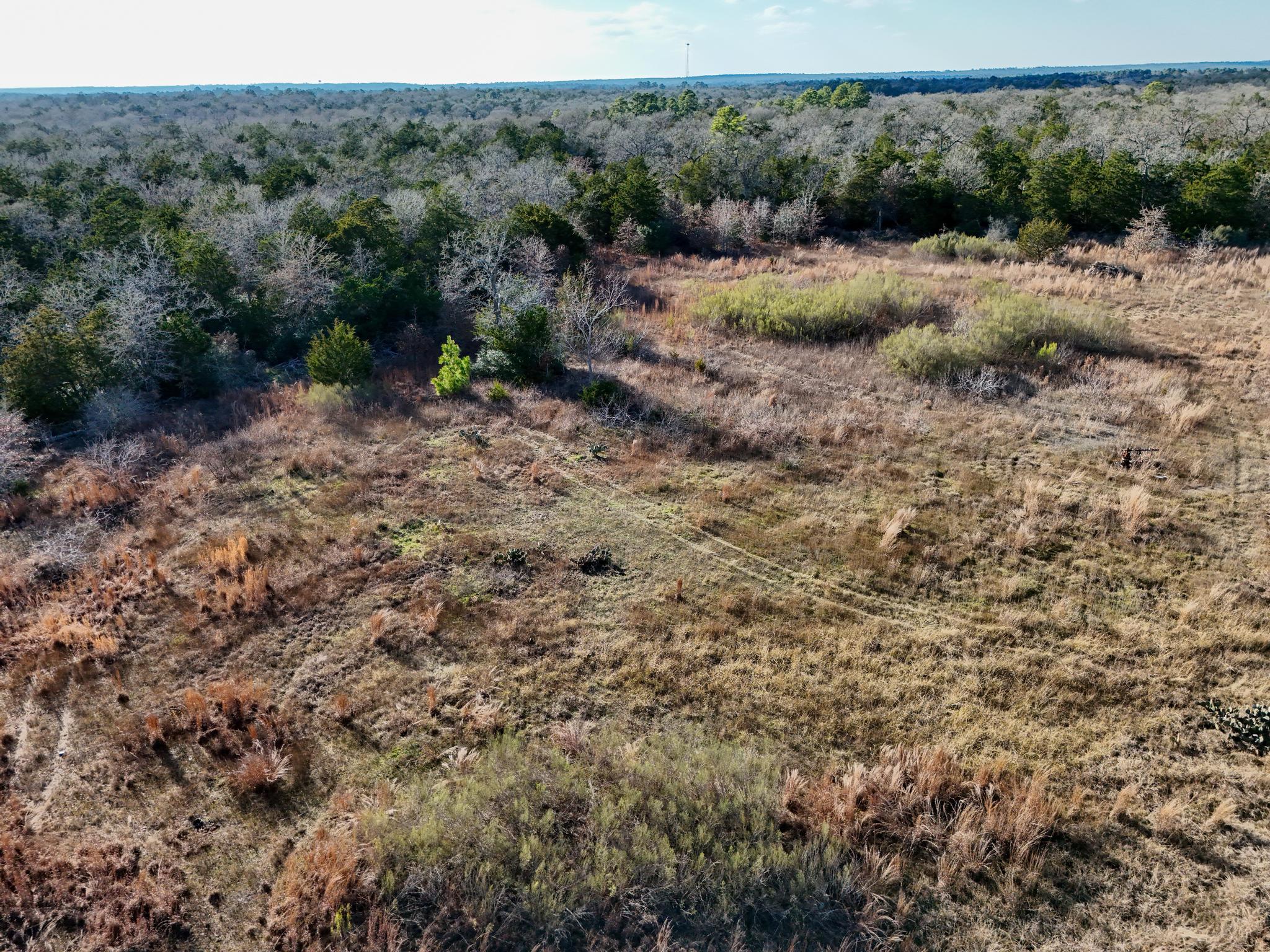 Lot 4 South Old Potato Rd, Paige, TX 78659