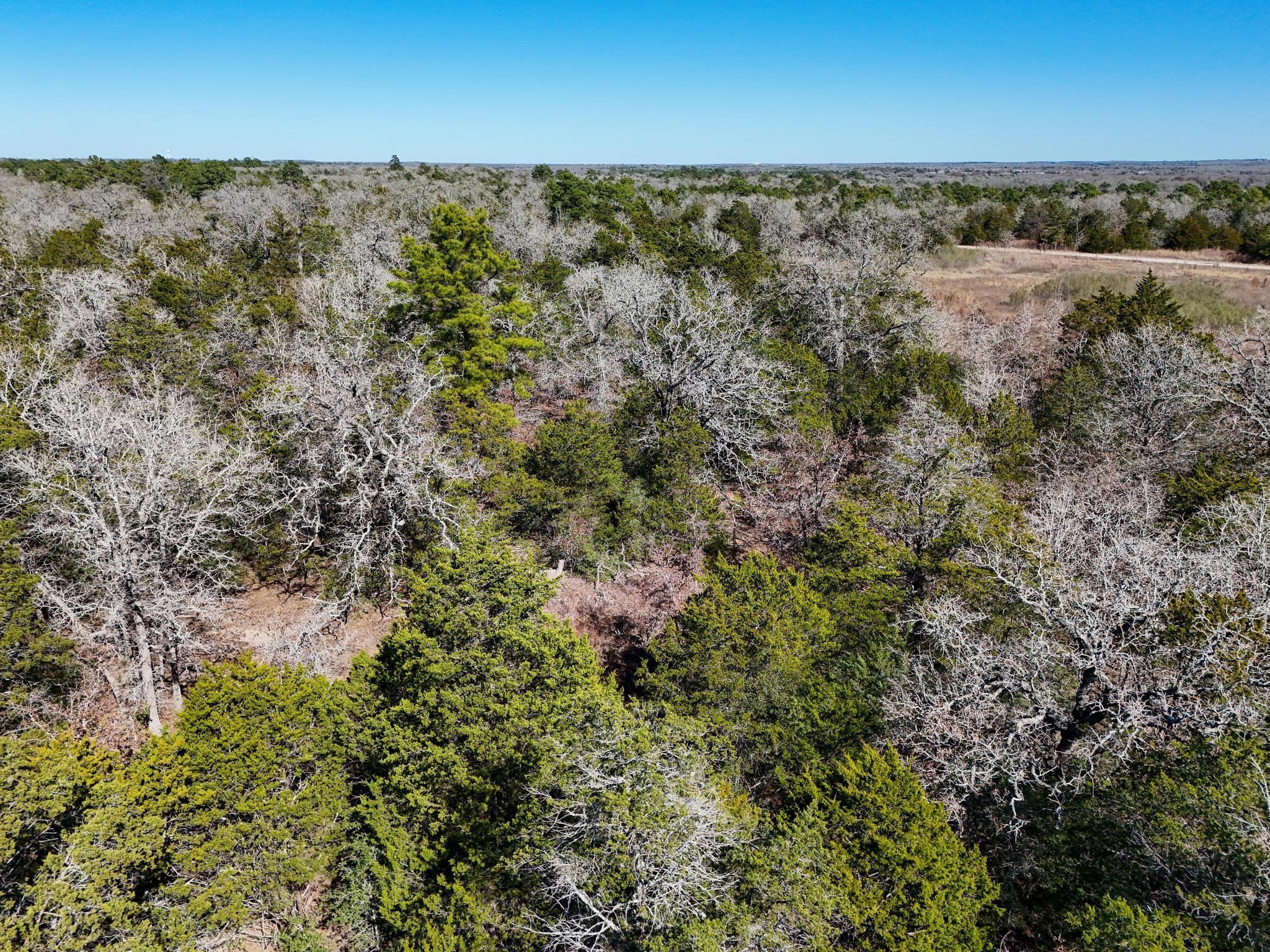 Lot 4 South Old Potato Rd, Paige, TX 78659