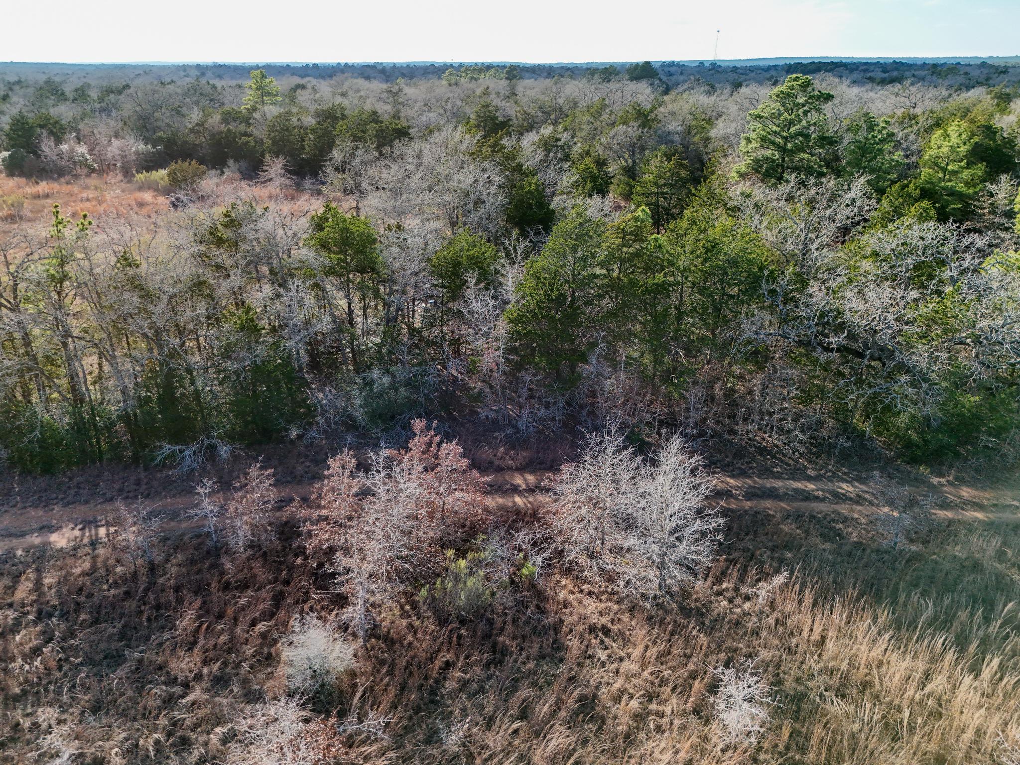Lot 12 Antioch Rd, Paige, TX 78659