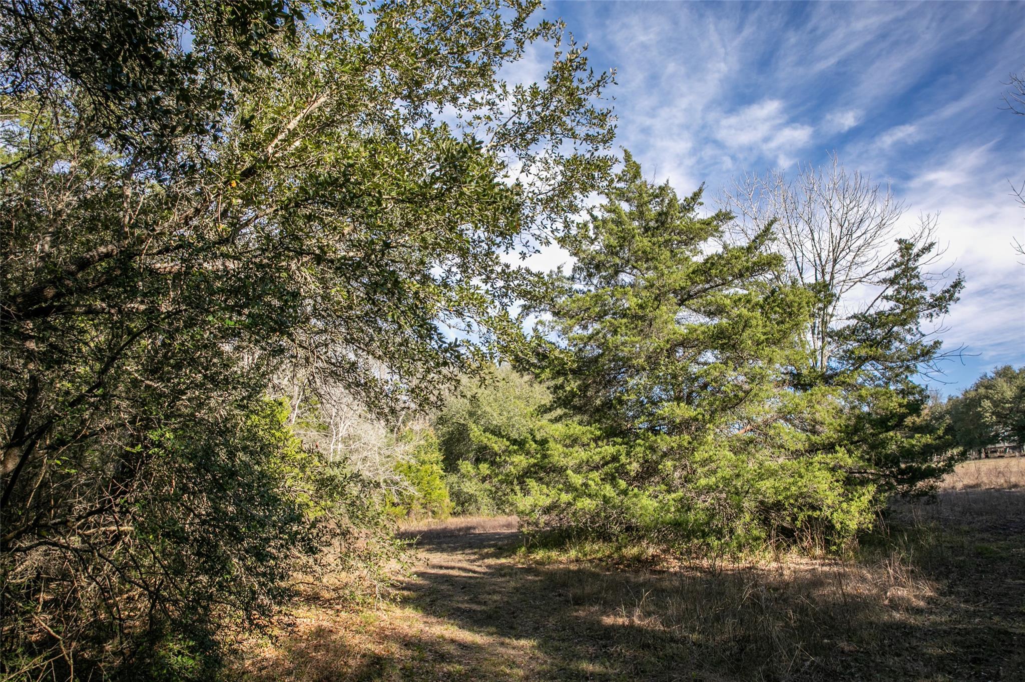 11107 Mt Falls School Rd, Washington, TX 77880