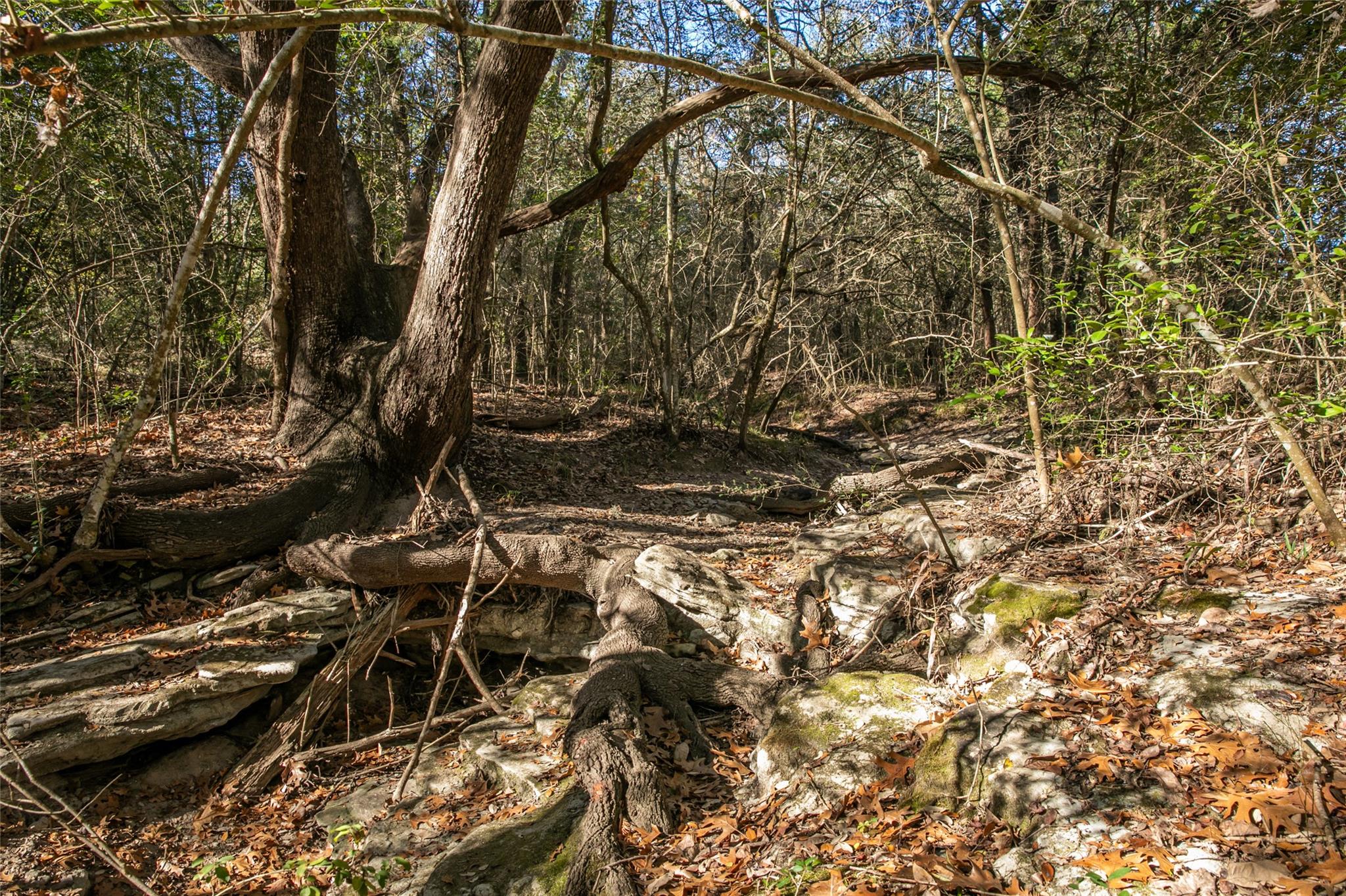 11107 Mt Falls School Rd, Washington, TX 77880