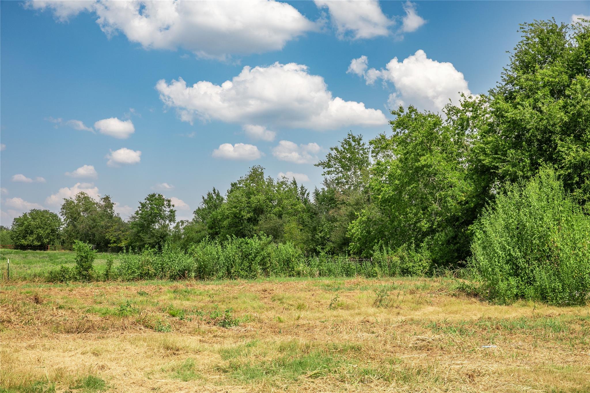 20 Red Tip Ln, Brenham, TX 77833