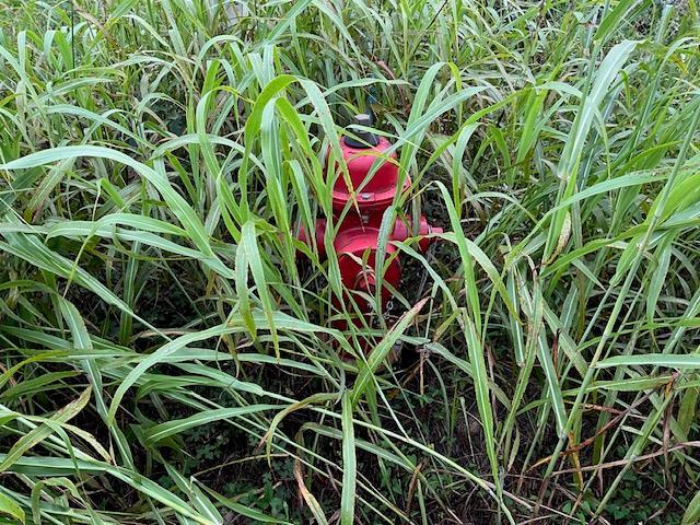 TBD County Rd., Lot 20-C Rd, Bastrop, TX 78602