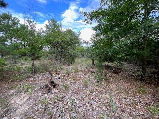 TBD County Rd., Lot 20-C Rd, Bastrop, TX 78602