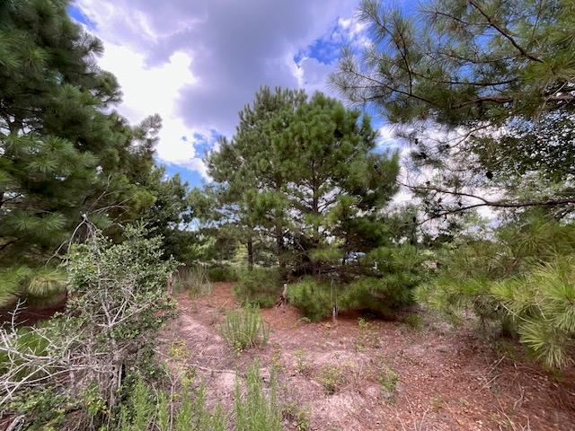 TBD County Rd., Lot 20-C Rd, Bastrop, TX 78602