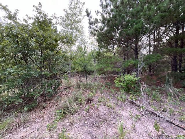 TBD County Rd., Lot 20-C Rd, Bastrop, TX 78602