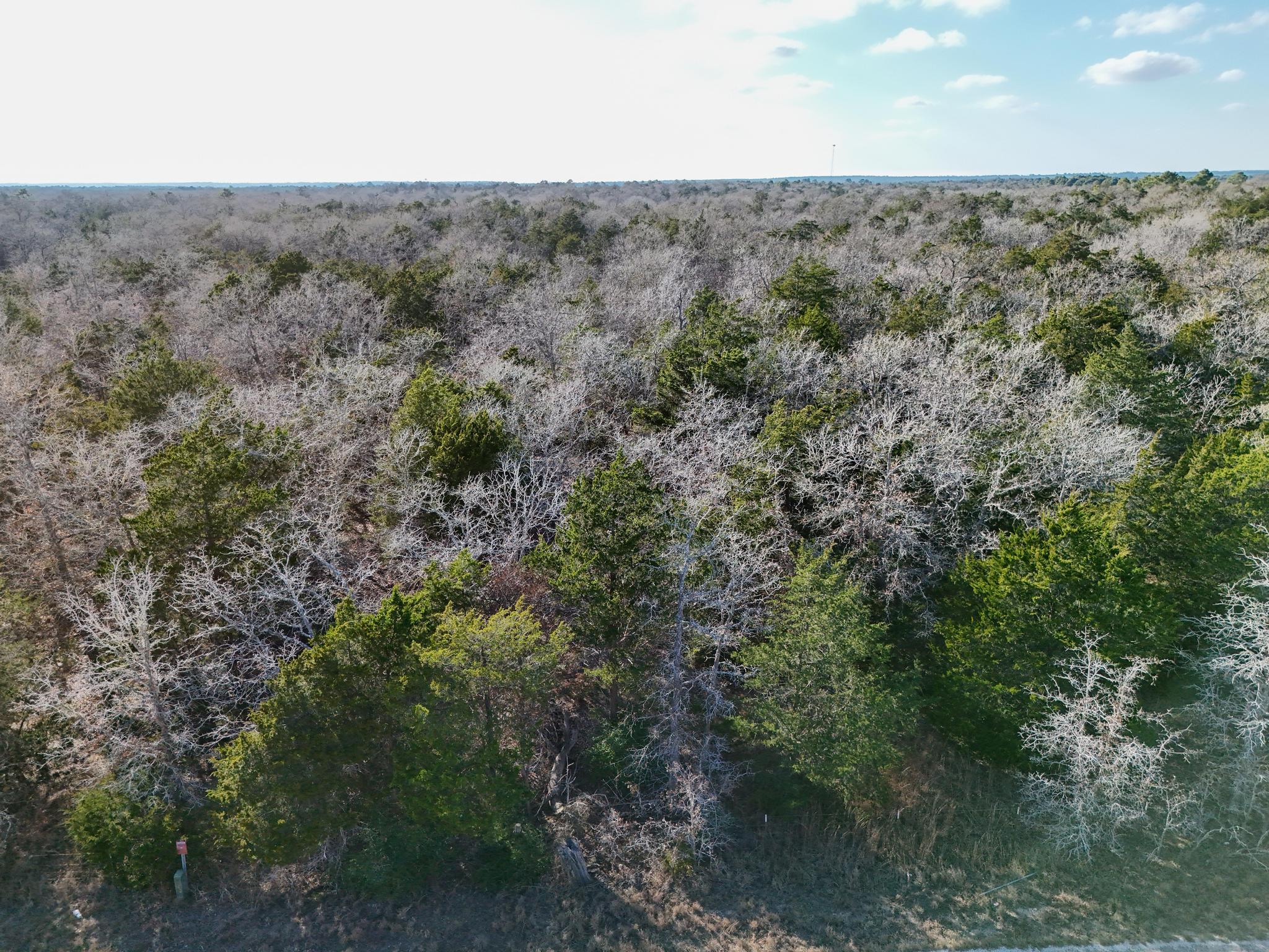 Lot 14 Antioch Rd, Paige, TX 78659