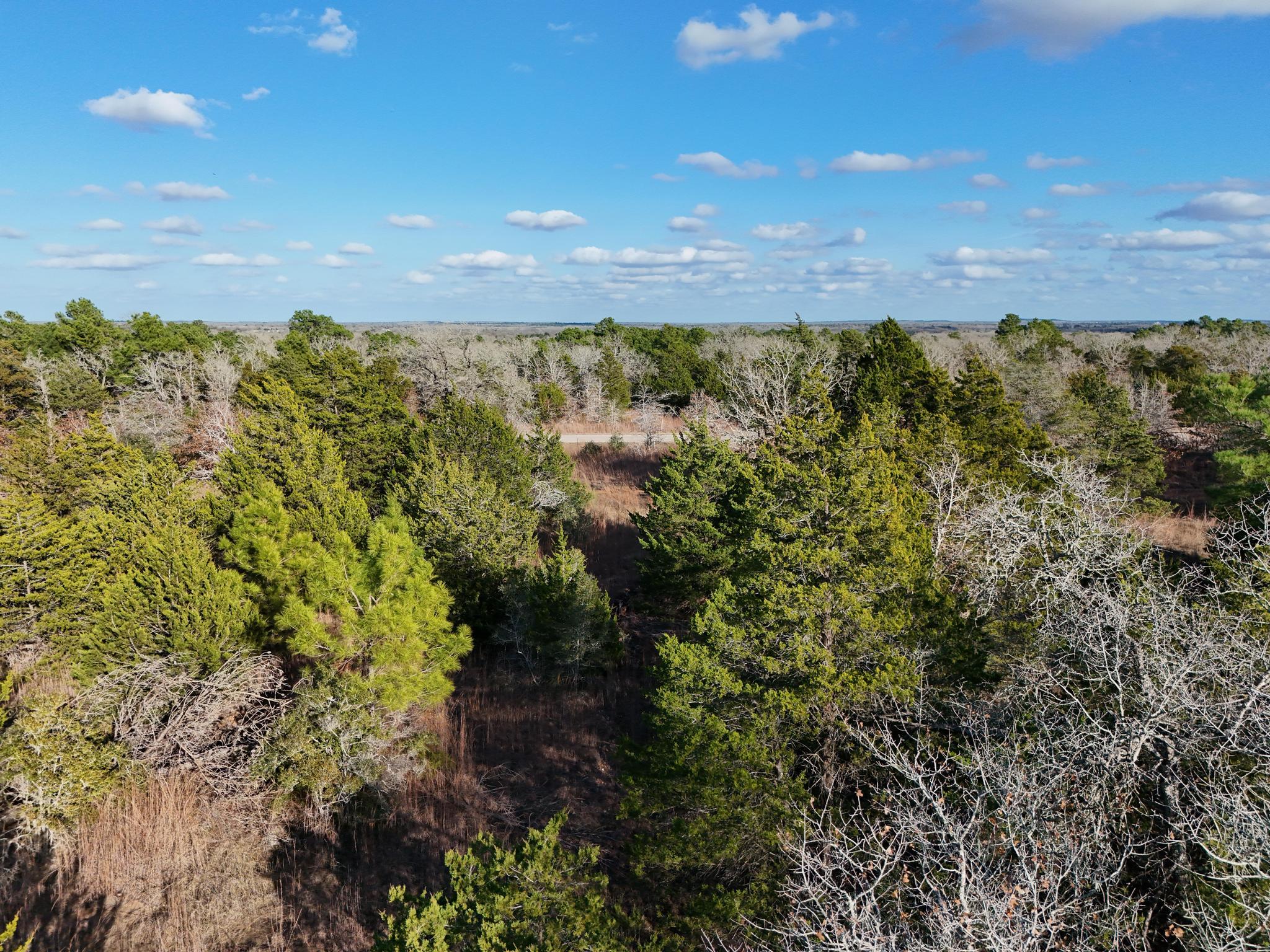 Lot 14 Antioch Rd, Paige, TX 78659