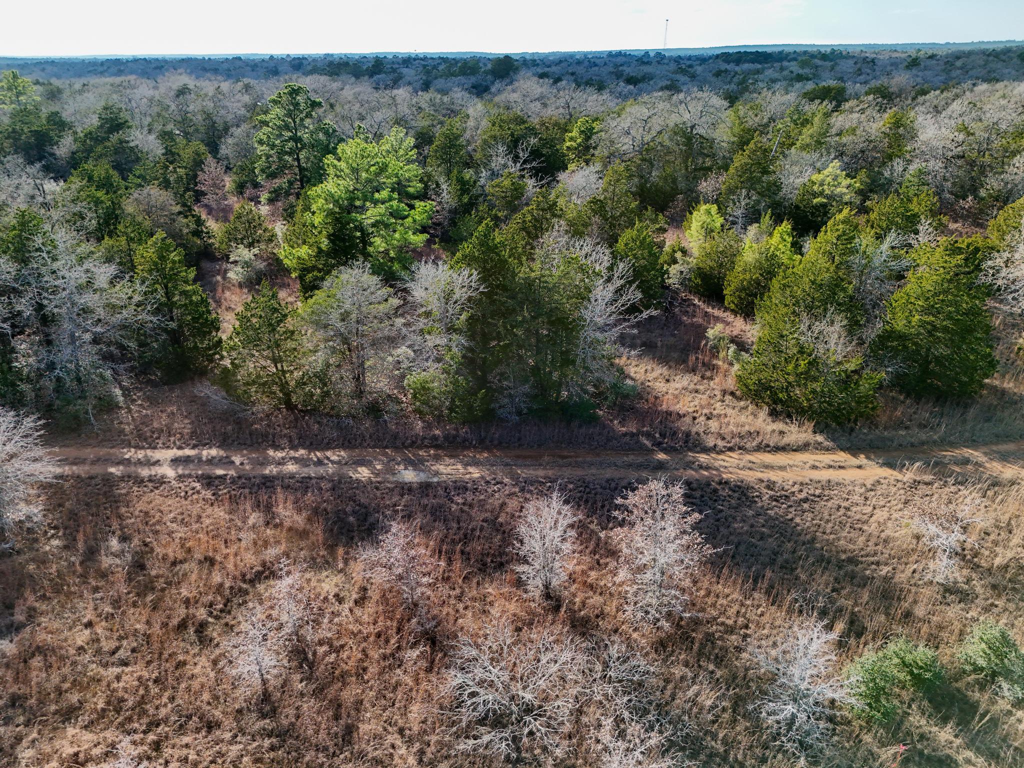 Lot 15 Antioch Rd, Paige, TX 78659