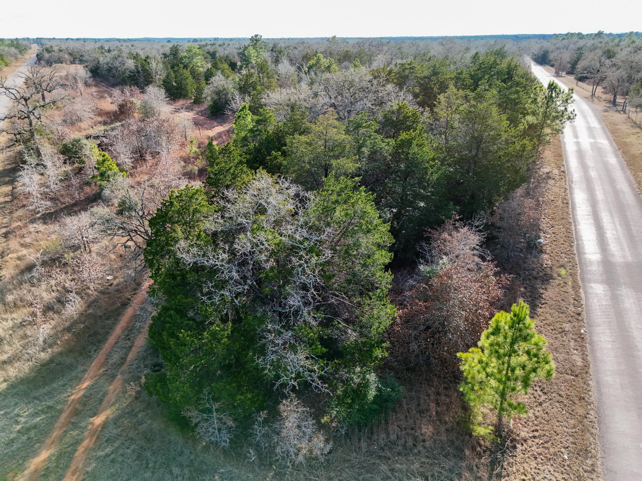 Lot 15 Antioch Rd, Paige, TX 78659
