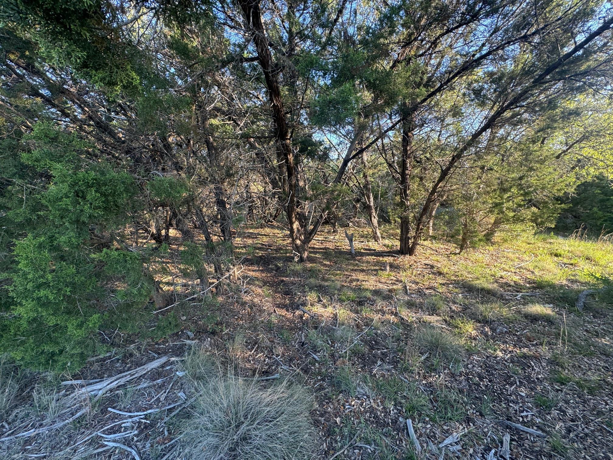 608 Marly Way # 5, Austin, TX 78733