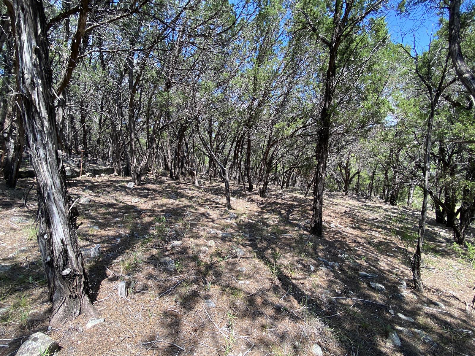 19201 W Reed Parks Rd, Jonestown, TX 78645