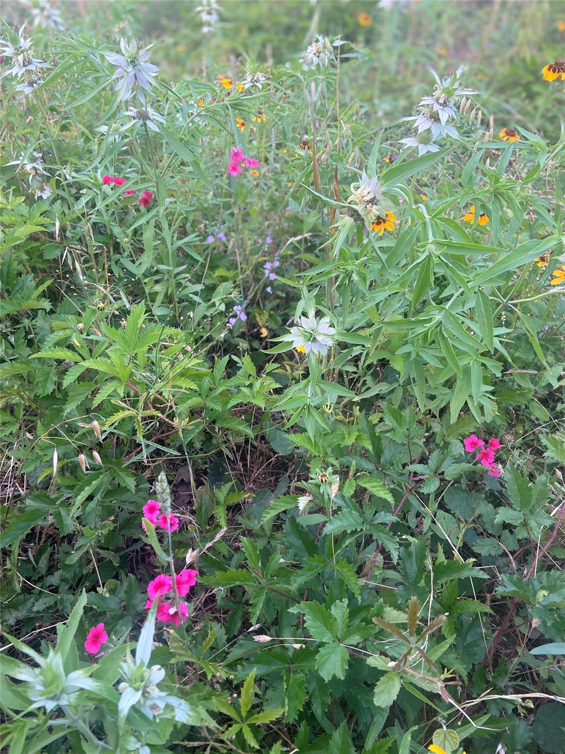 569 TBD Burdette Wells Rd, Lockhart, TX 78644