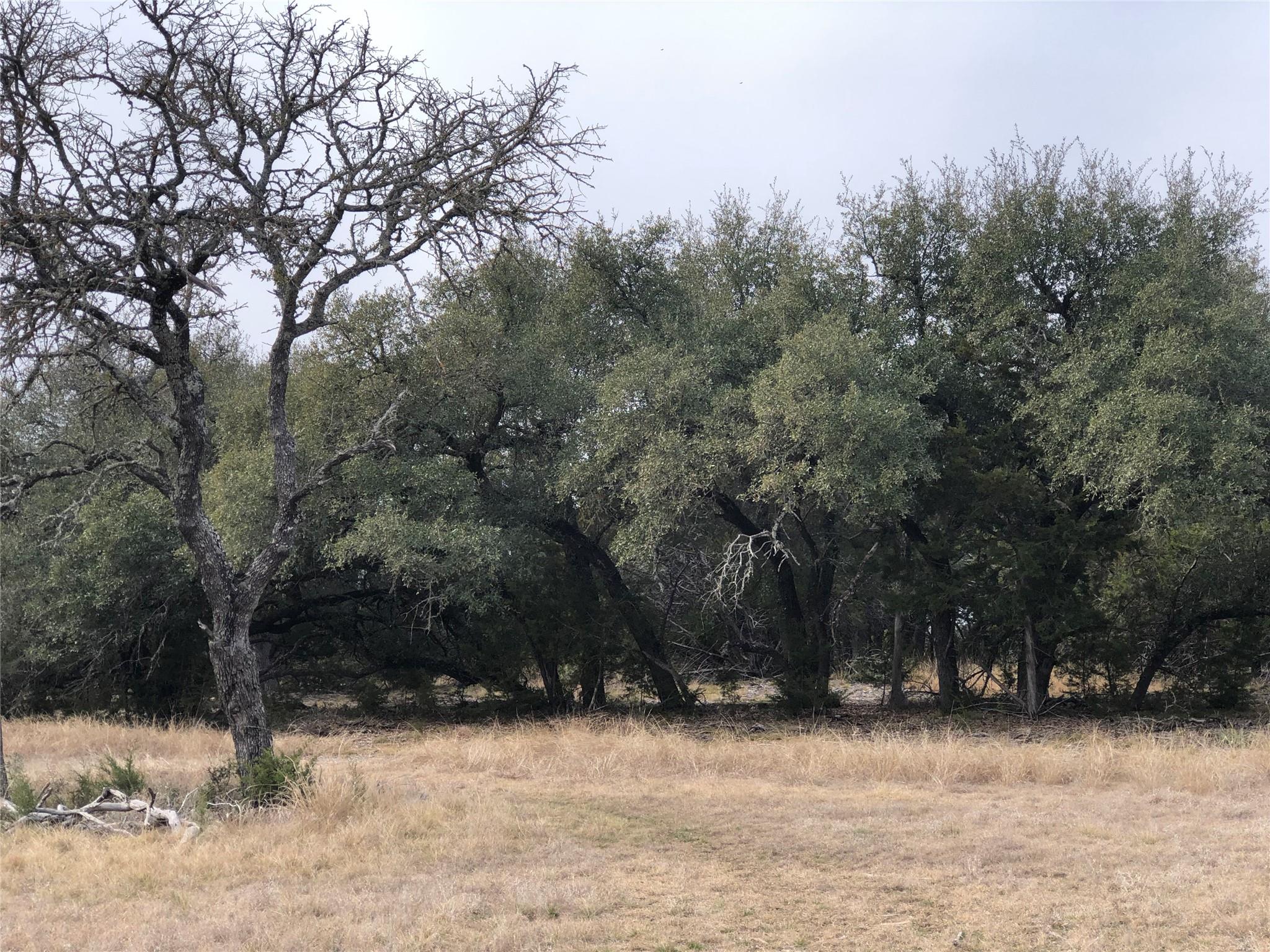 11990 Fm 580 E, Kempner, TX 76539