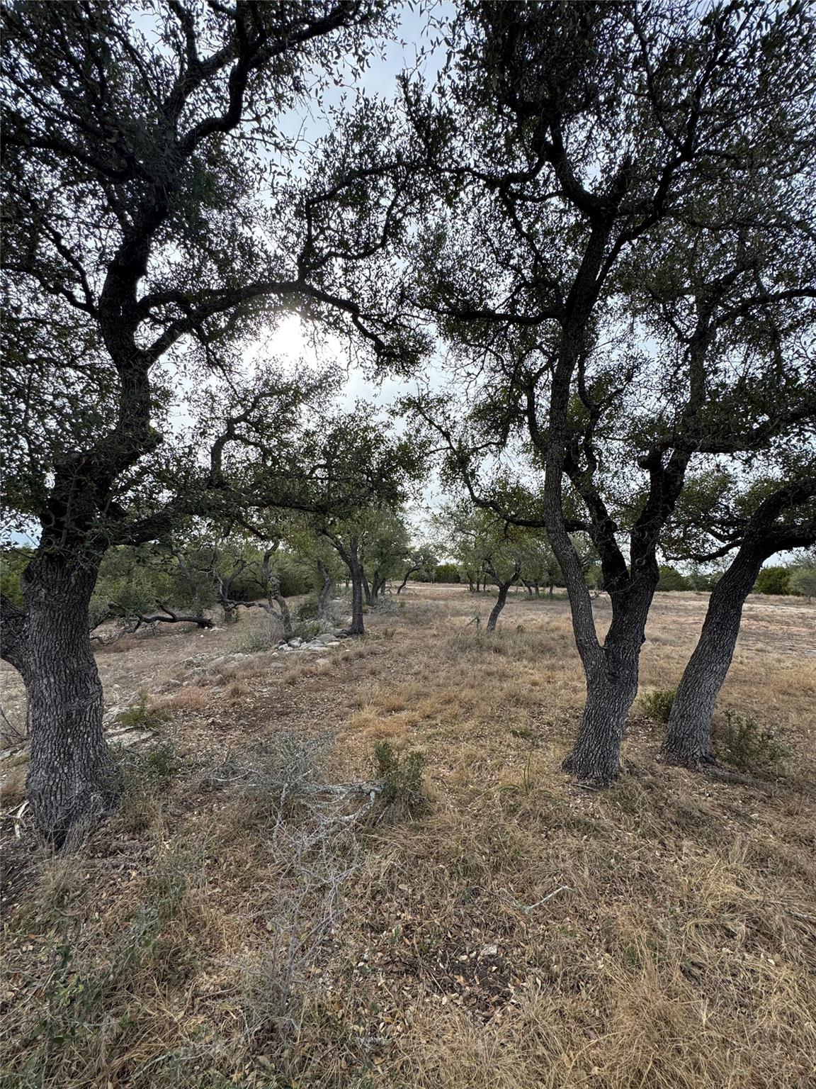 116 Legacy Hills Dr, Johnson City, TX 78636