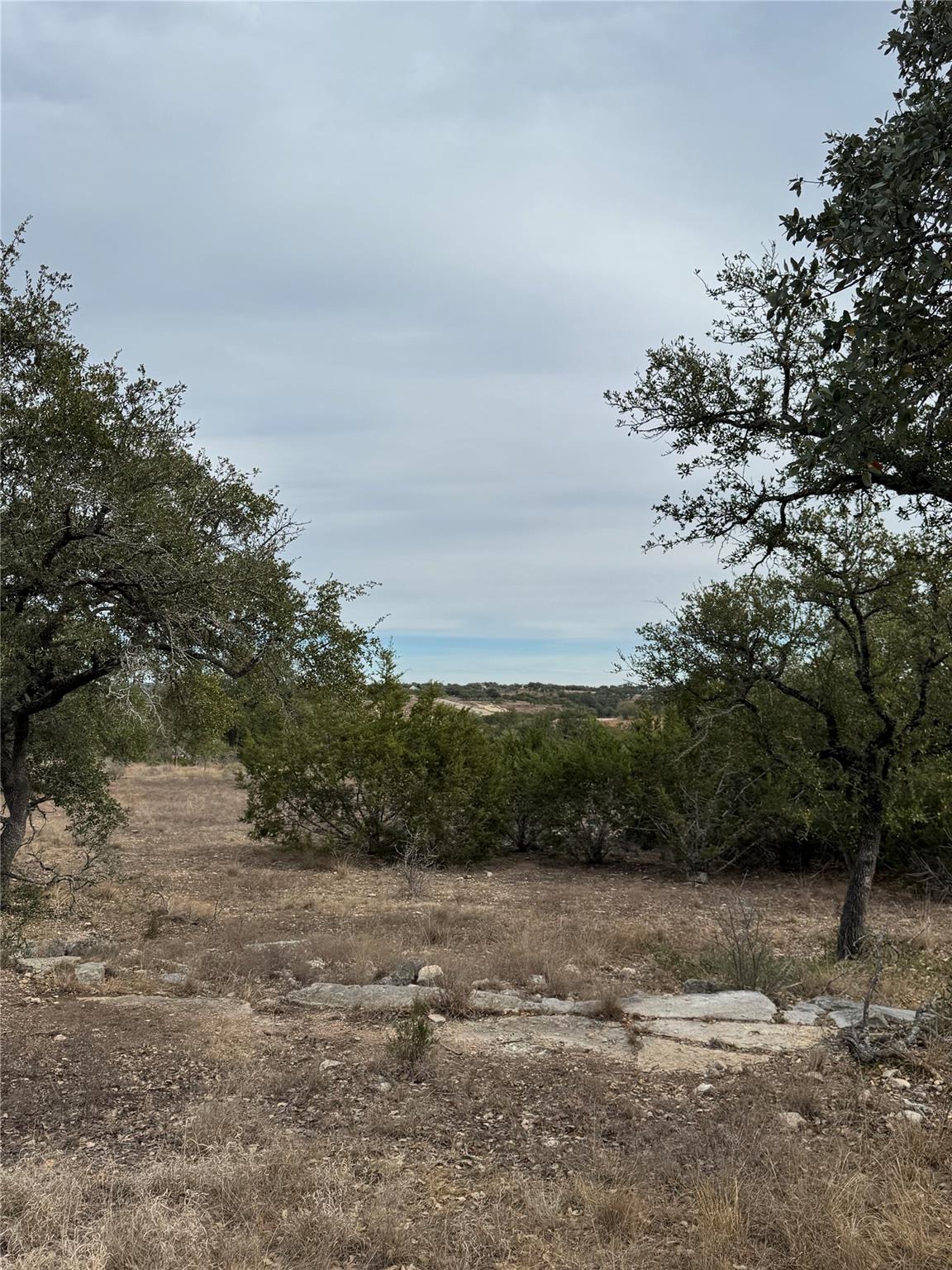 116 Legacy Hills Dr, Johnson City, TX 78636