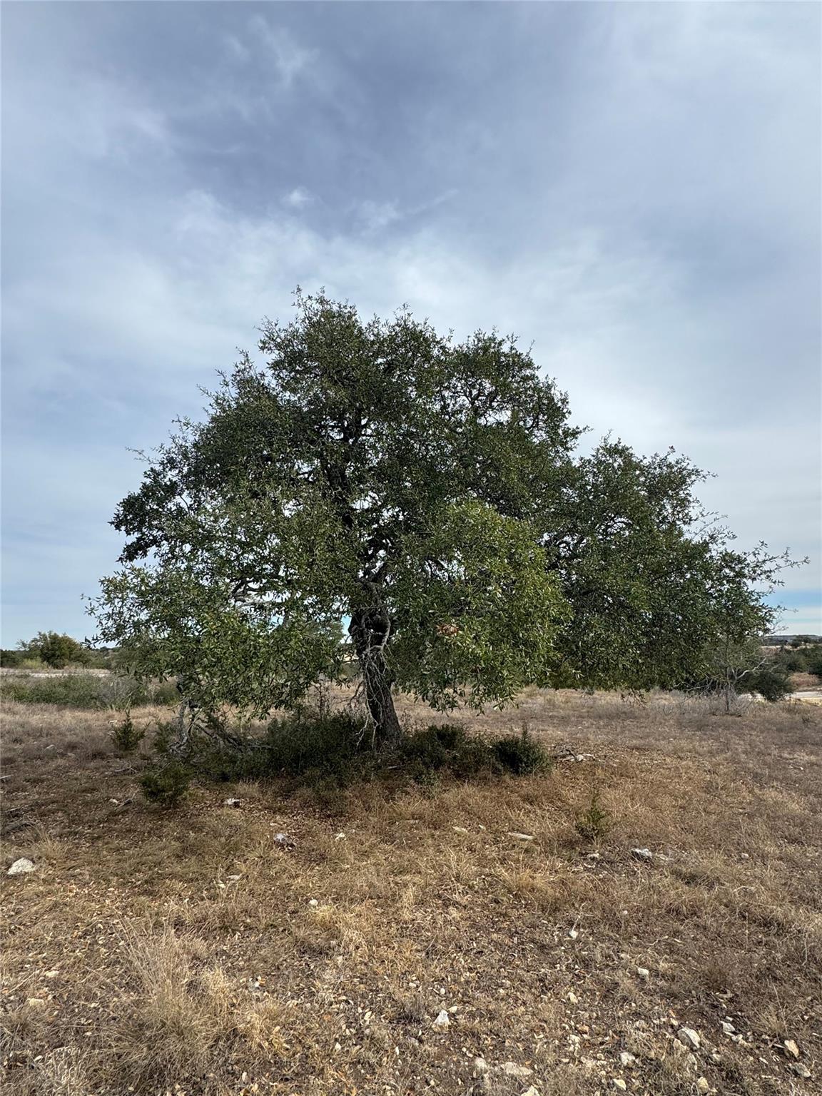 116 Legacy Hills Dr, Johnson City, TX 78636