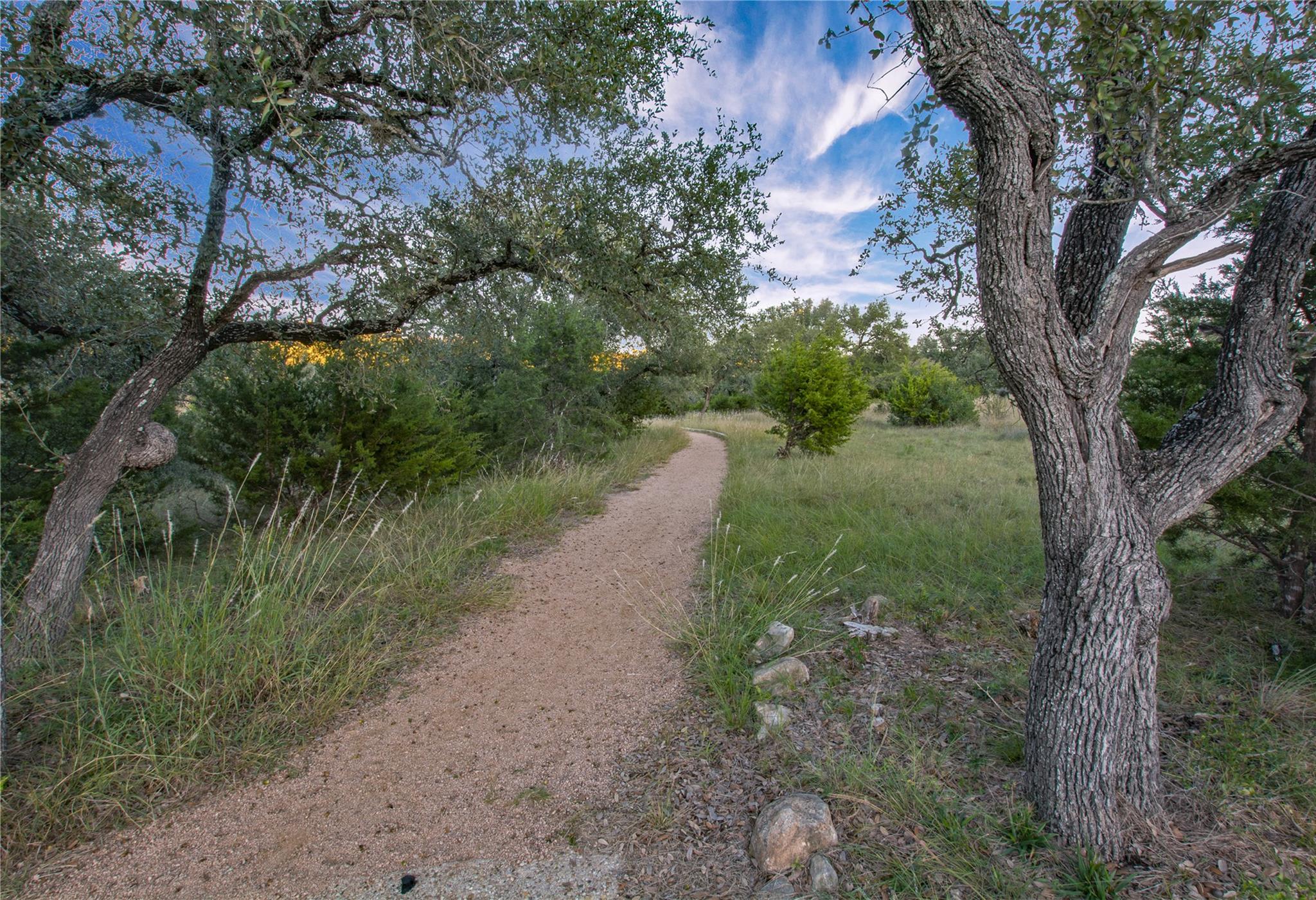 22325 Rock Wren Rd, Spicewood, TX 78669