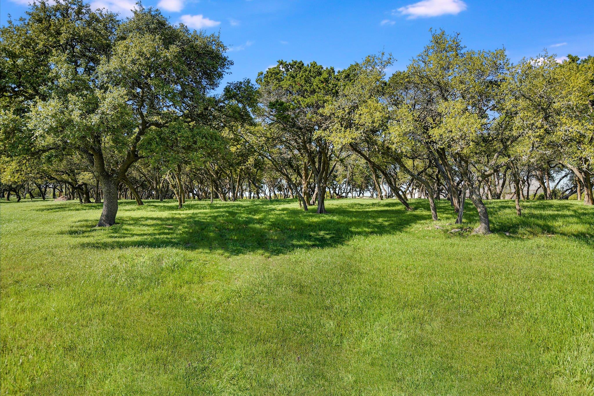 Dripping Springs, TX 78620