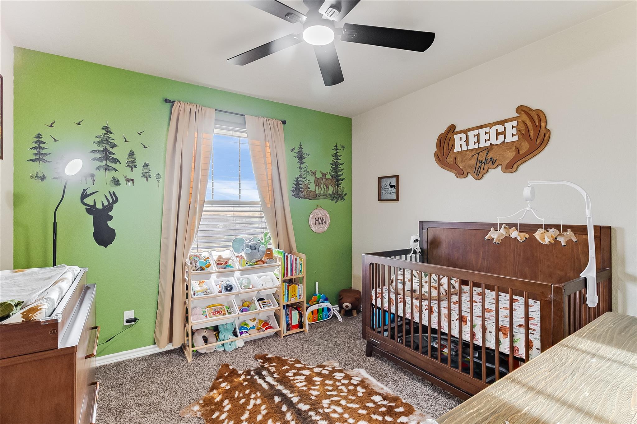 141 Elmer Ave, Burnet, TX 78611