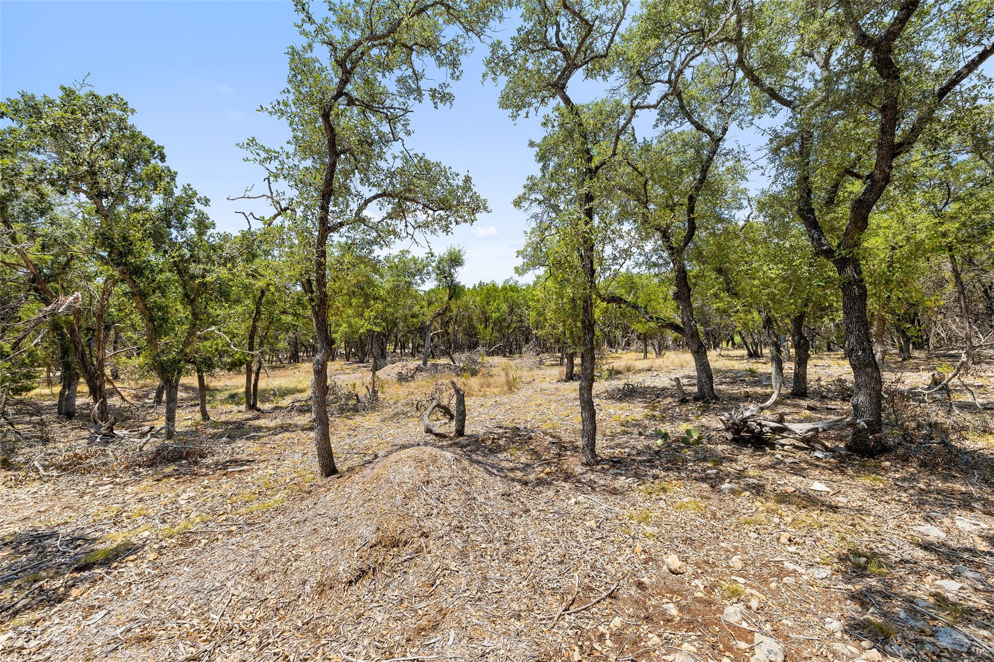 19 Spring Valley Dr, Wimberley, TX 78676