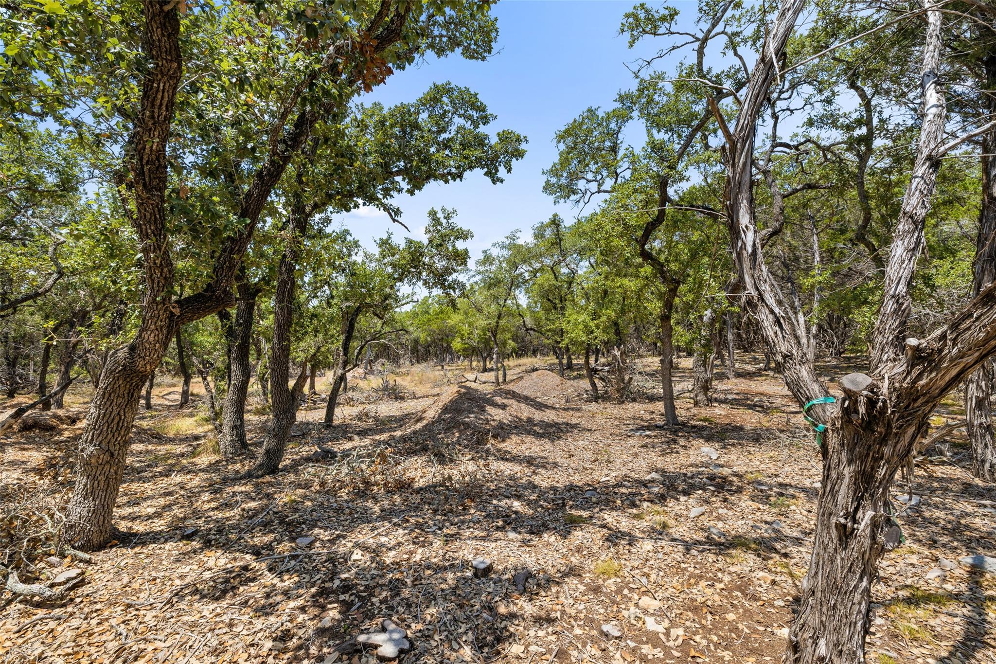 19 Spring Valley Dr, Wimberley, TX 78676