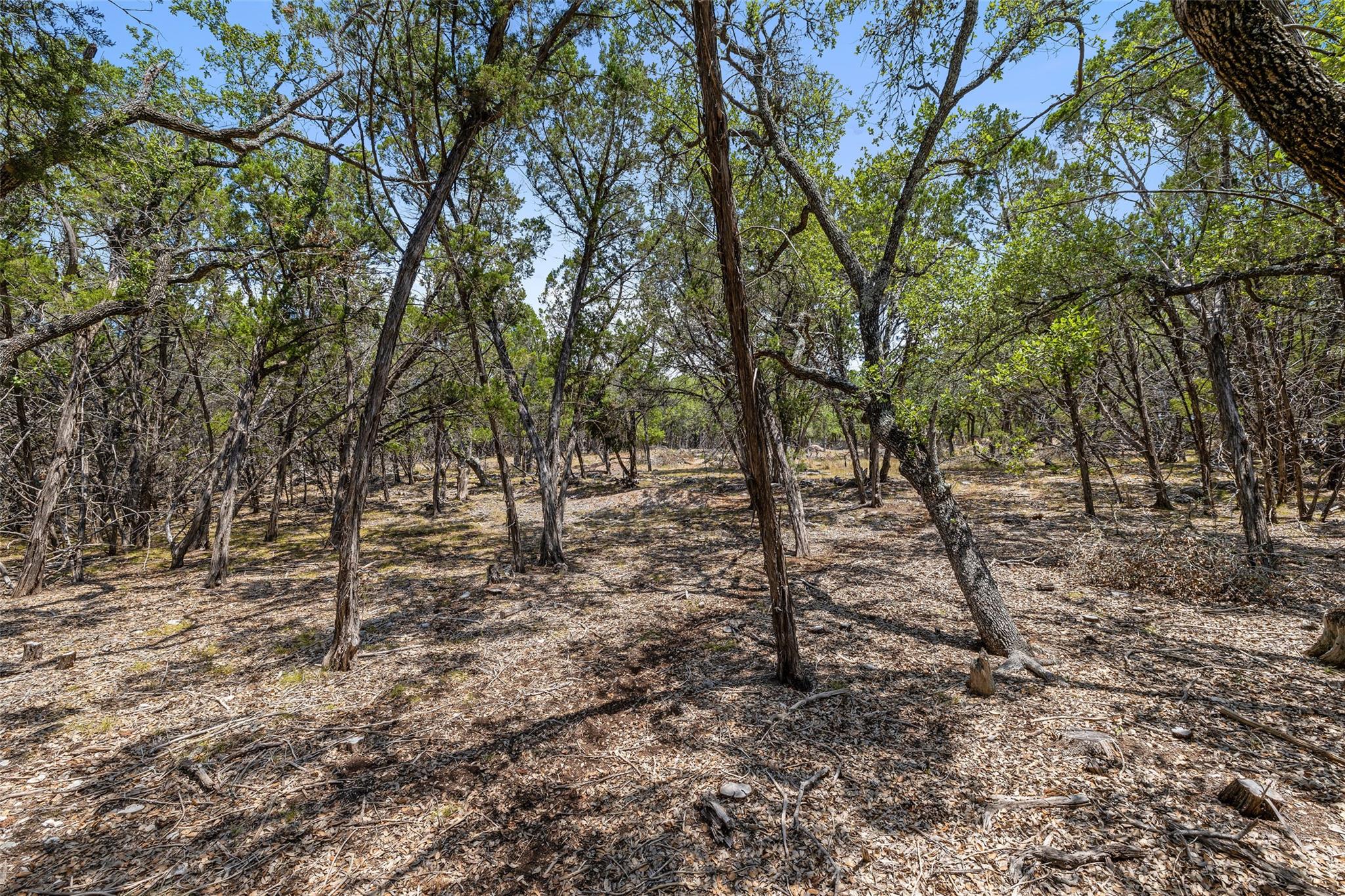 19 Spring Valley Dr, Wimberley, TX 78676