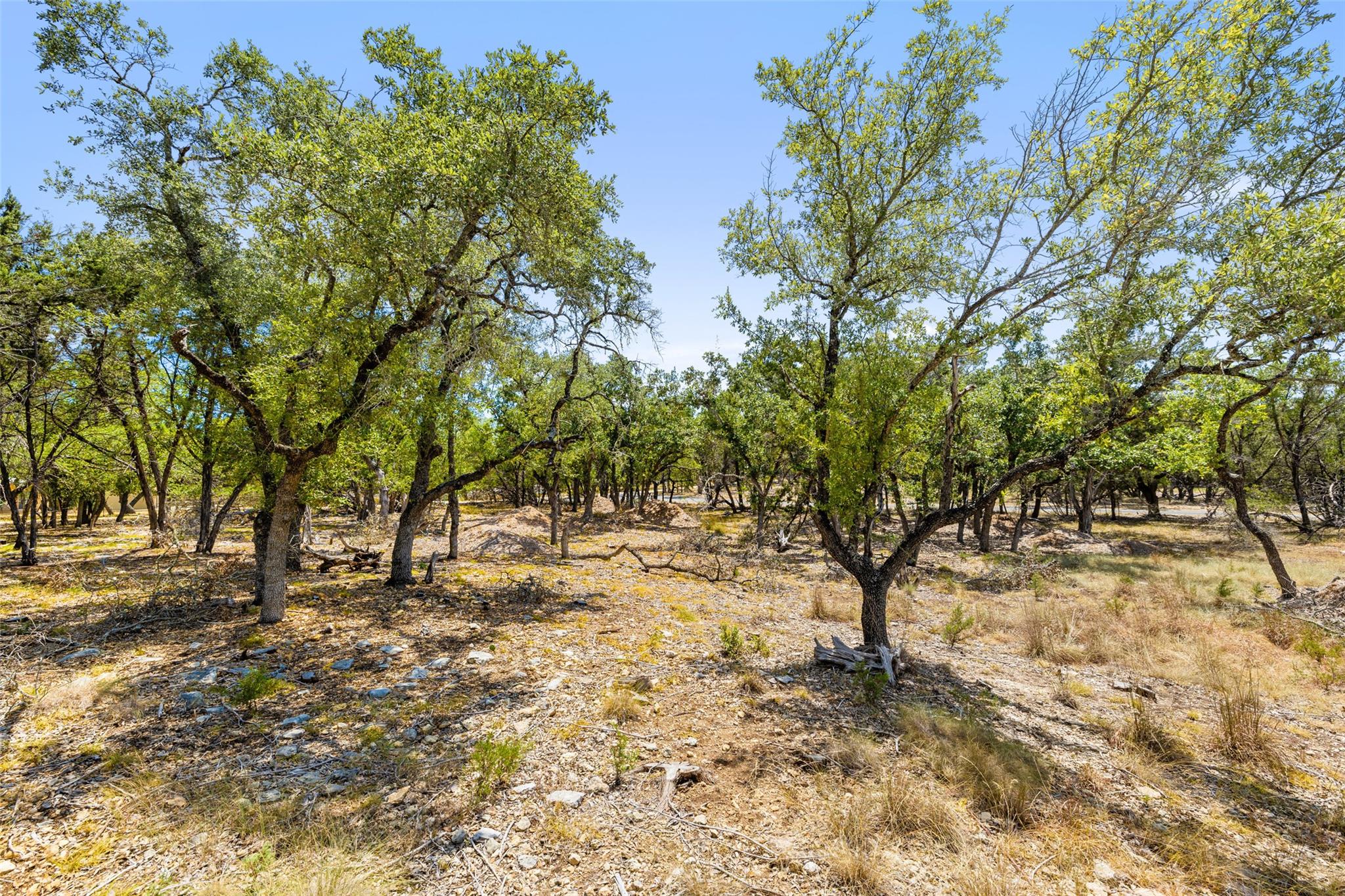 19 Spring Valley Dr, Wimberley, TX 78676