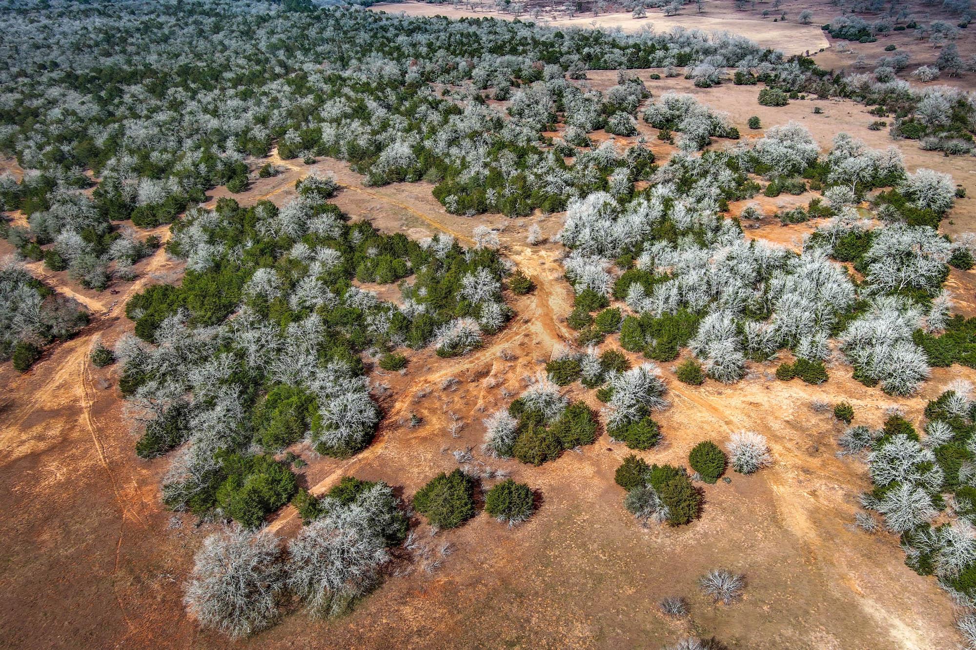 1648 Jeddo Rd, Rosanky, TX 78953