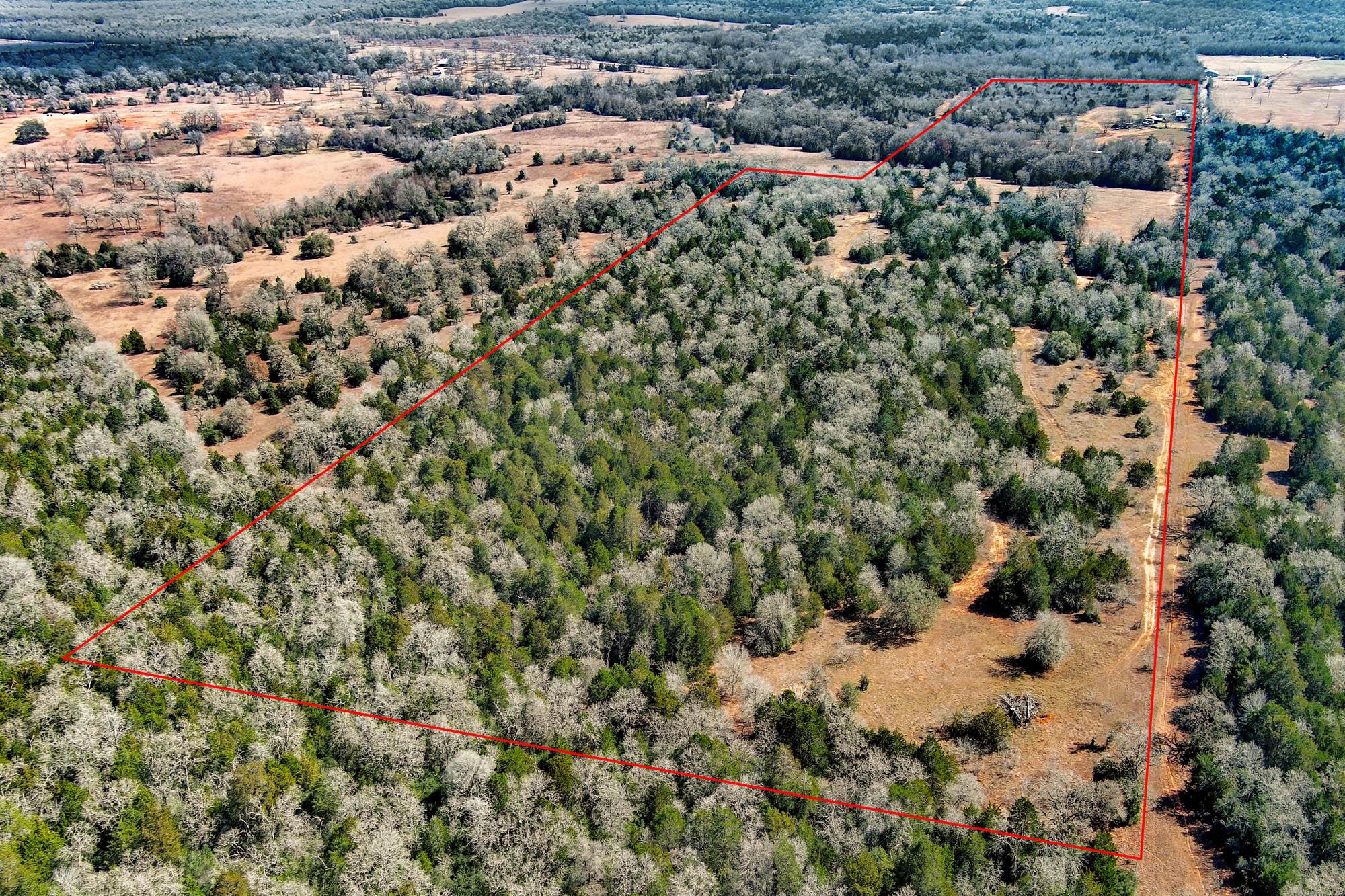 1648 Jeddo Rd, Rosanky, TX 78953