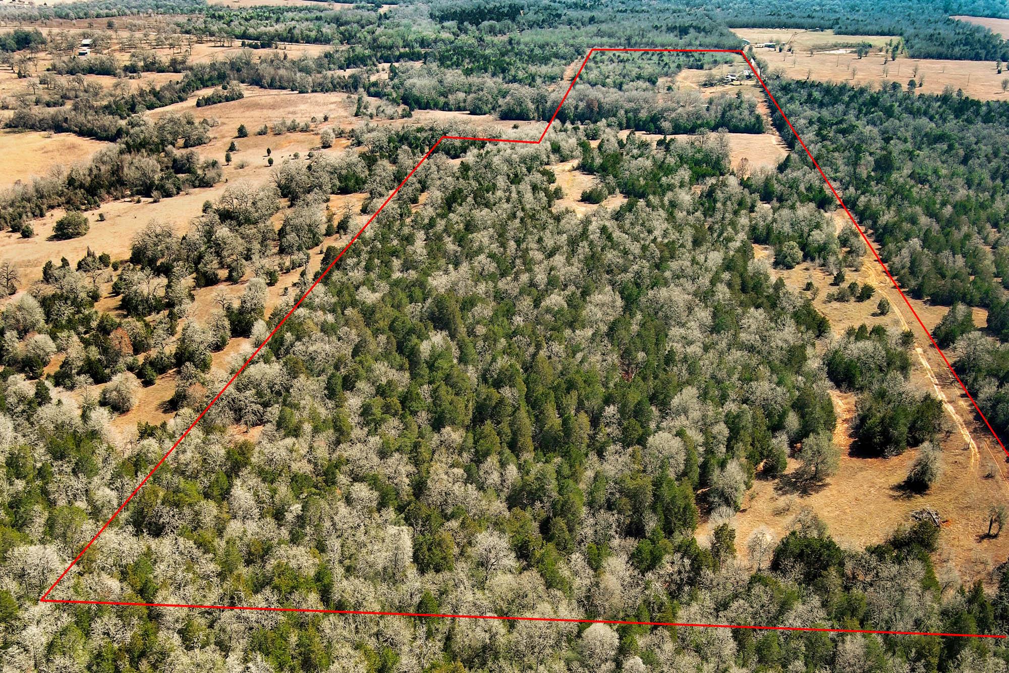 1648 Jeddo Rd, Rosanky, TX 78953