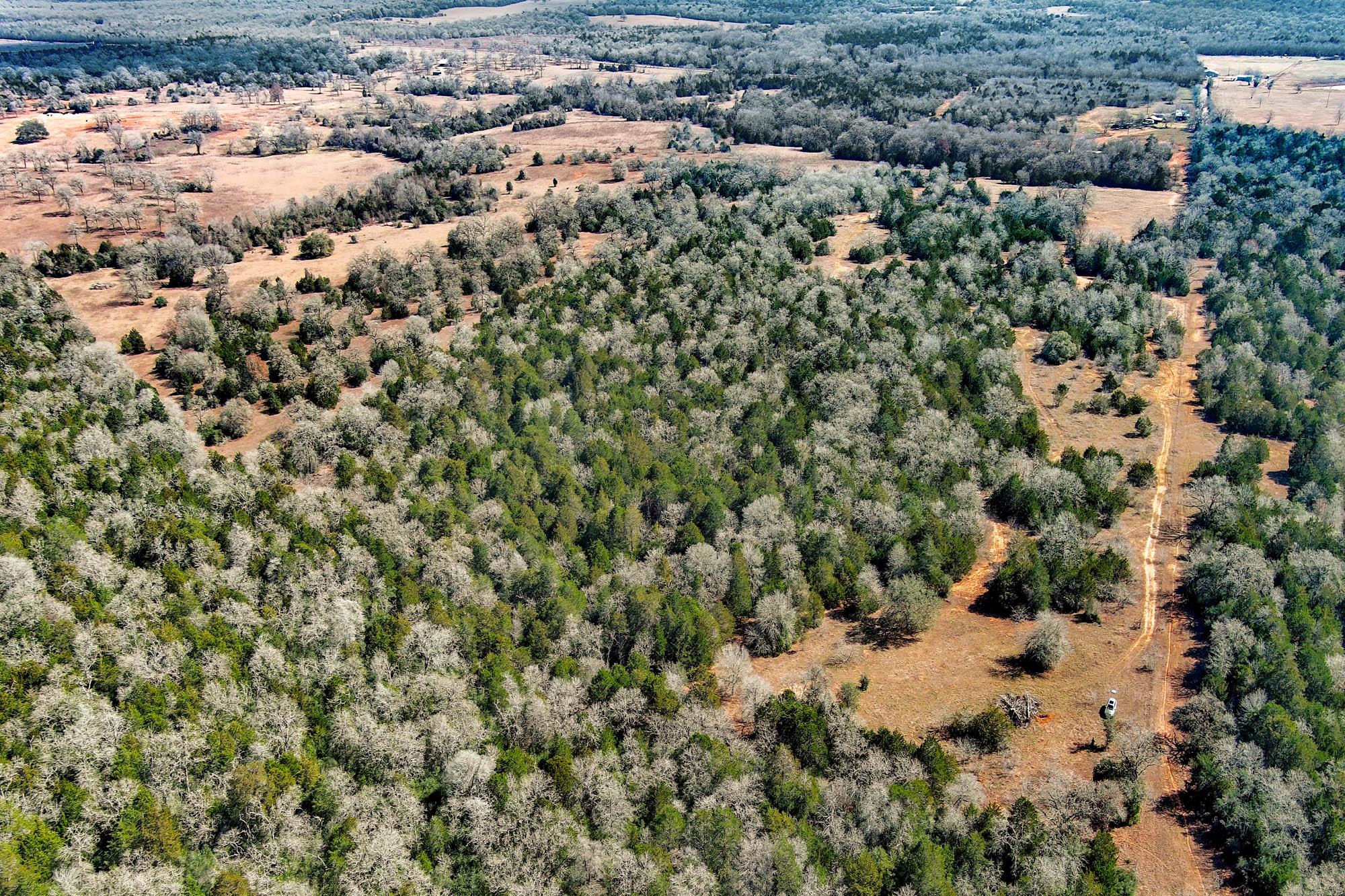 1648 Jeddo Rd, Rosanky, TX 78953