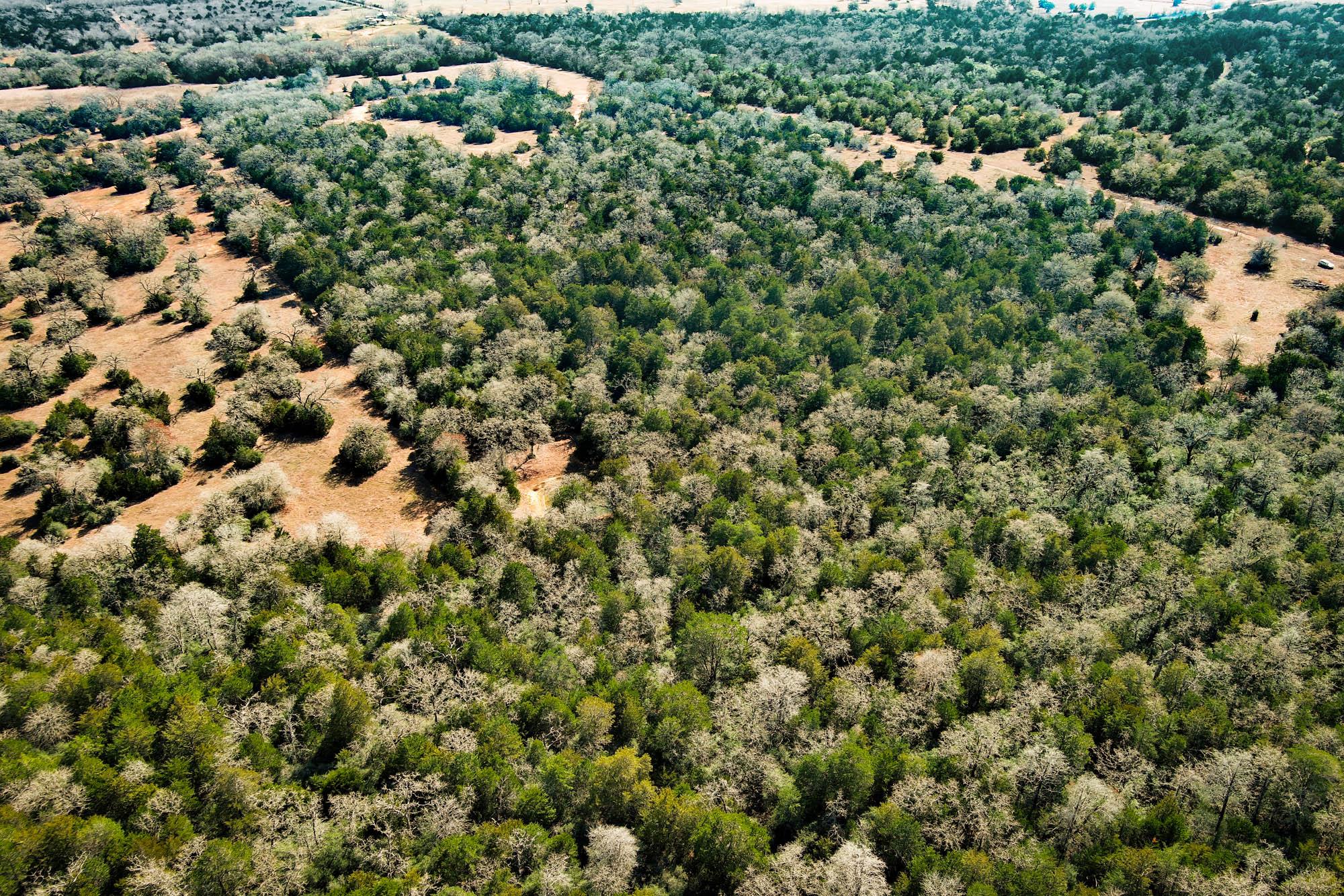 1648 Jeddo Rd, Rosanky, TX 78953