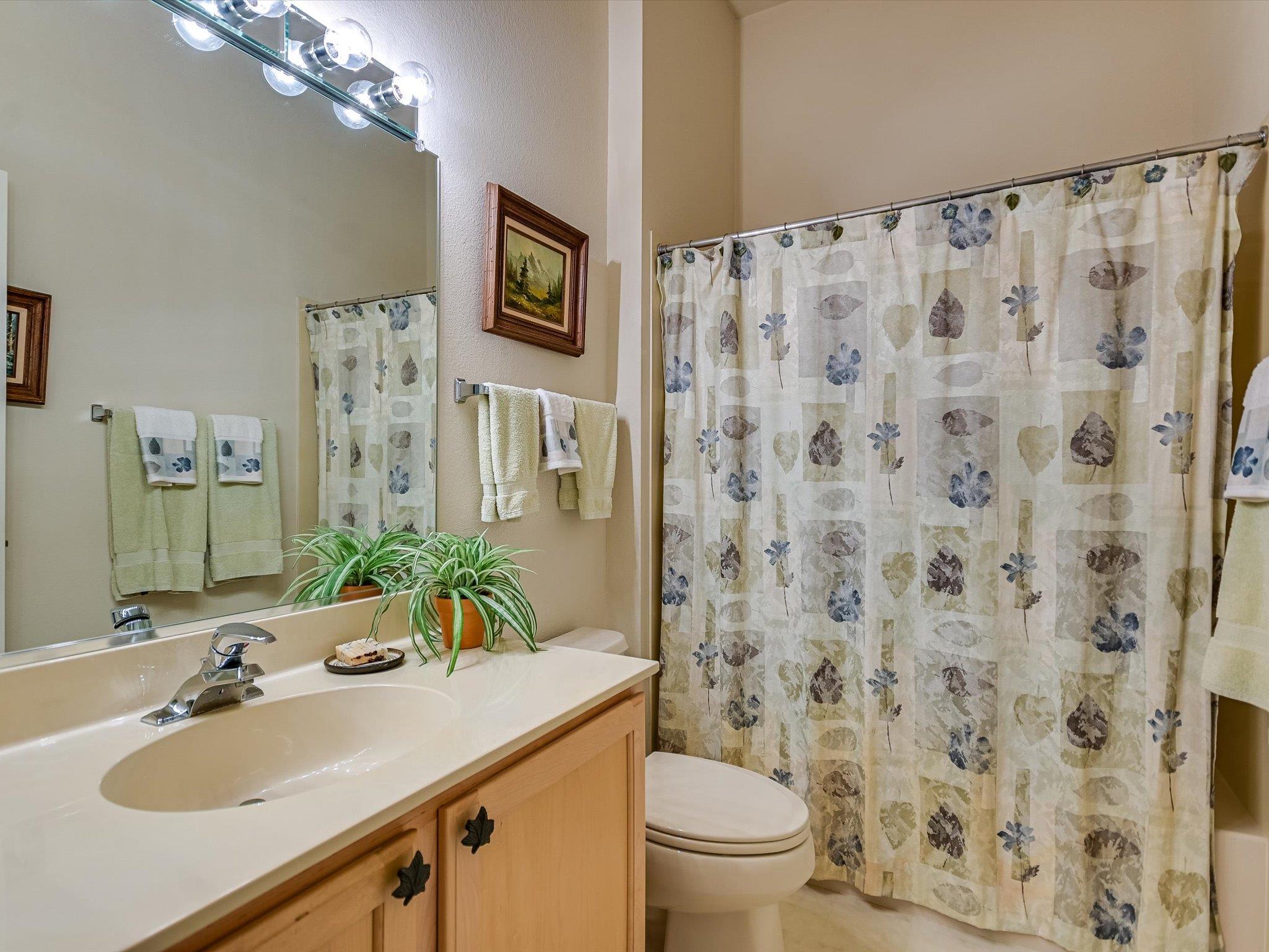 105 Rock Rose Ct, Georgetown, TX 78633