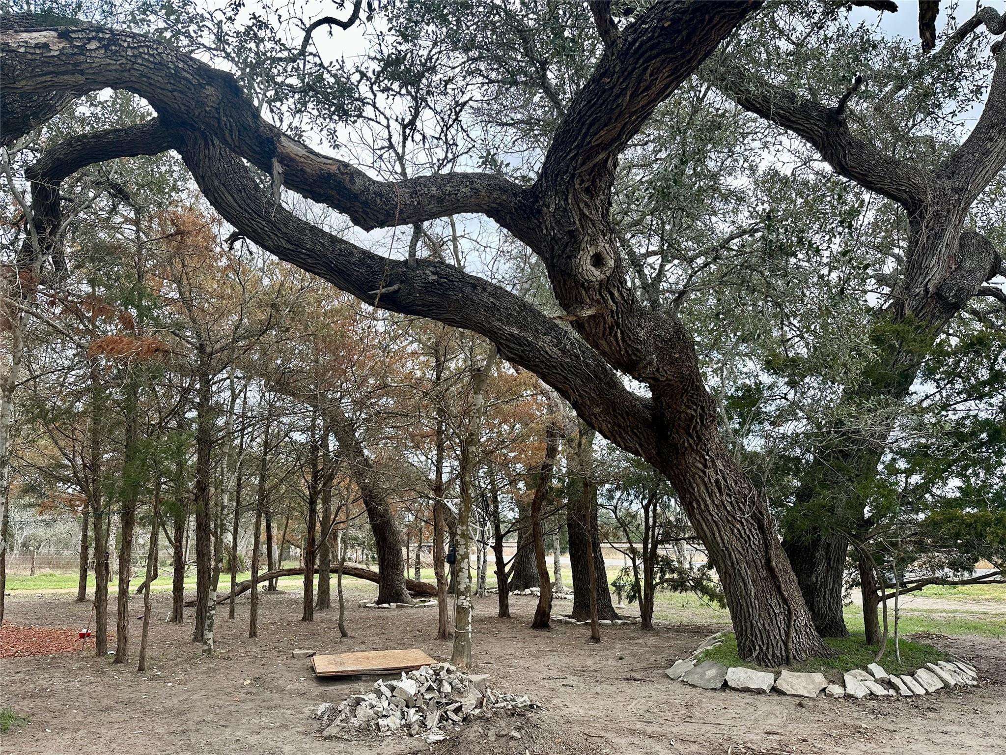 750 FM 154 S, Muldoon, TX 78949