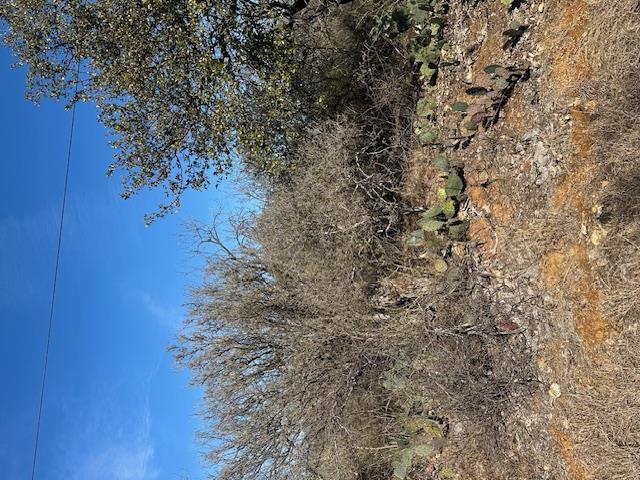 0 TBD Cedar Dr, Granite Shoals, TX 78654