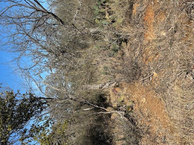 0 TBD Cedar Dr, Granite Shoals, TX 78654