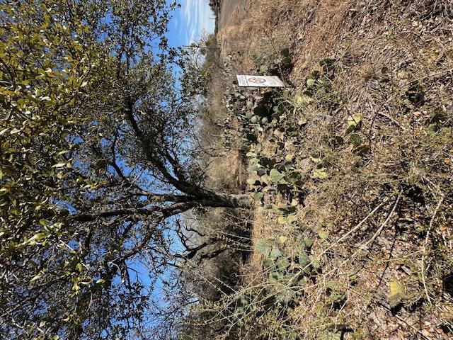 0 TBD Cedar Dr, Granite Shoals, TX 78654