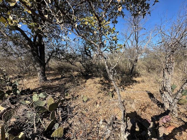 0 TBD Cedar Dr, Granite Shoals, TX 78654