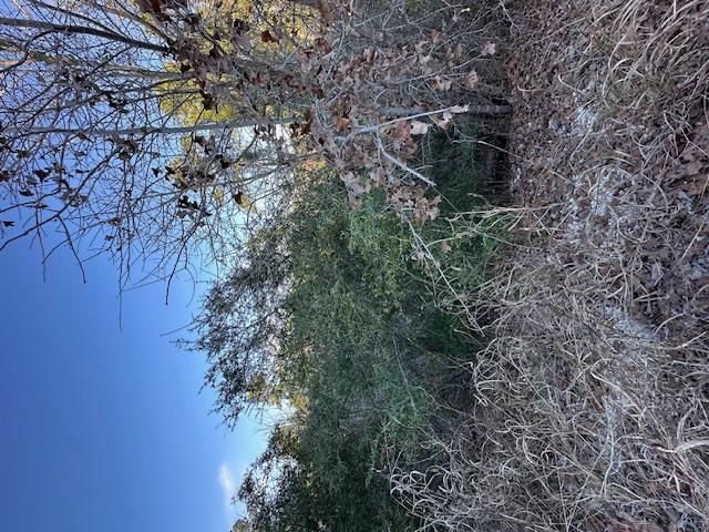 0 TBD Cedar Dr, Granite Shoals, TX 78654