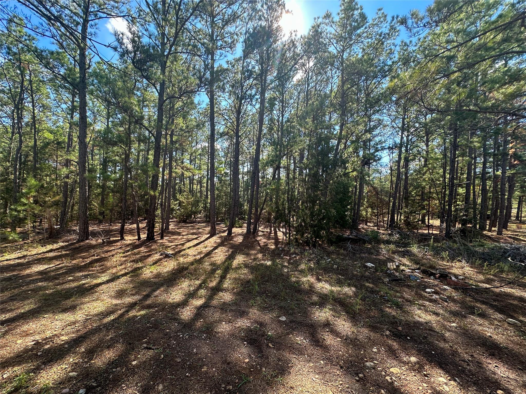 Lot 11 Hickory Ridge Dr, Bastrop, TX 78602
