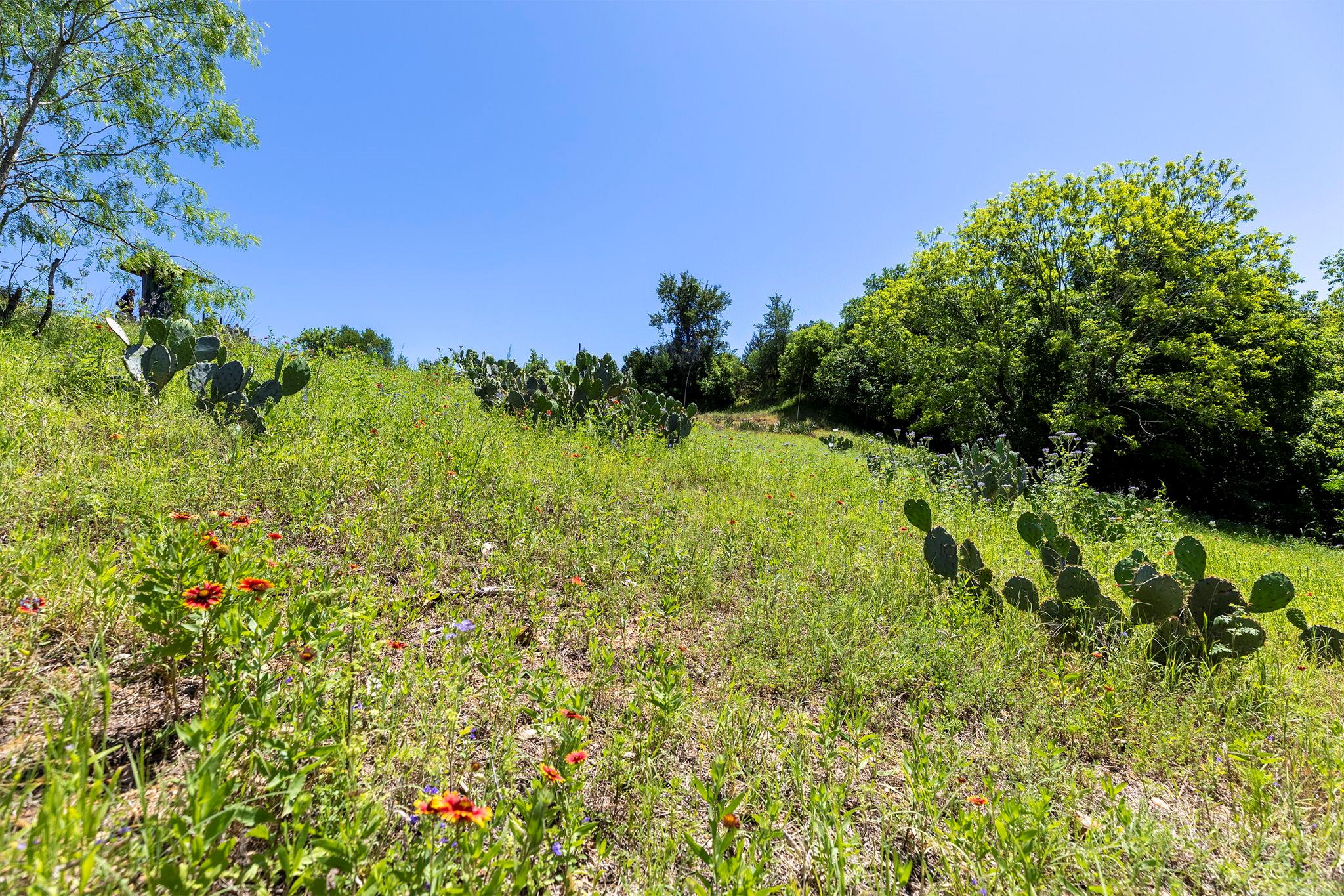Lot 11 Hickory Ridge Dr, Bastrop, TX 78602