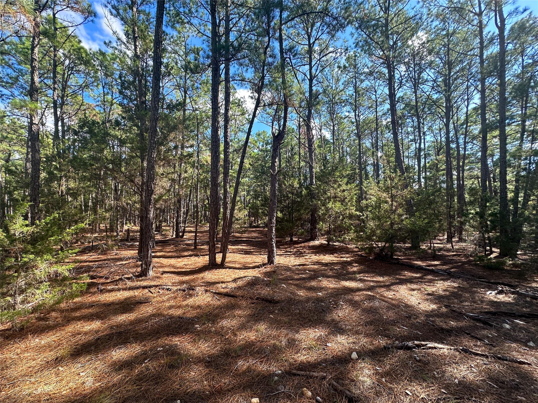 Lot 11 Hickory Ridge Dr, Bastrop, TX 78602