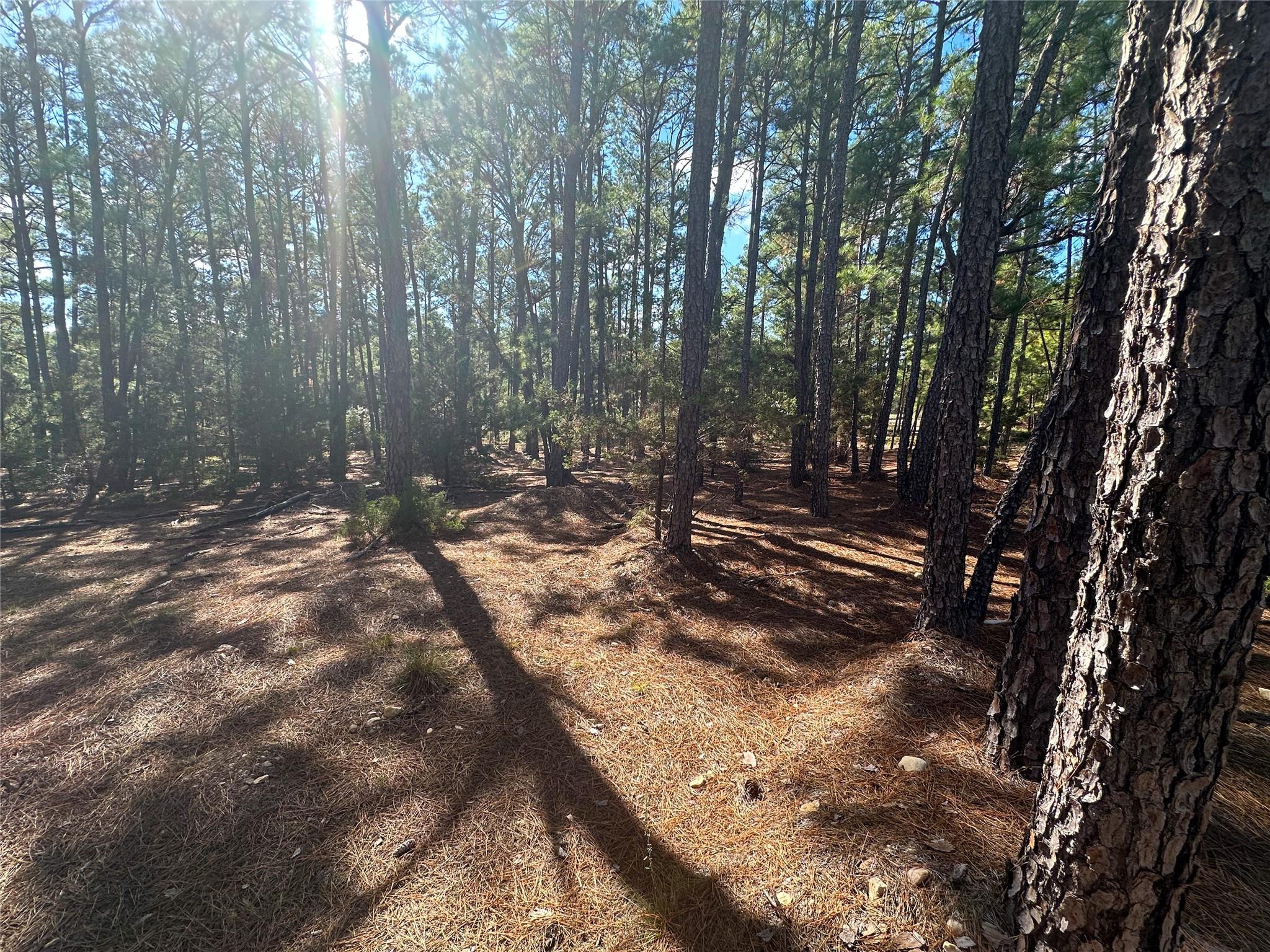 Lot 11 Hickory Ridge Dr, Bastrop, TX 78602
