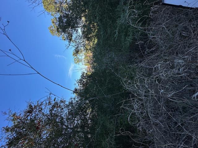 0 TBD Kula Ct, Bastrop, TX 78602